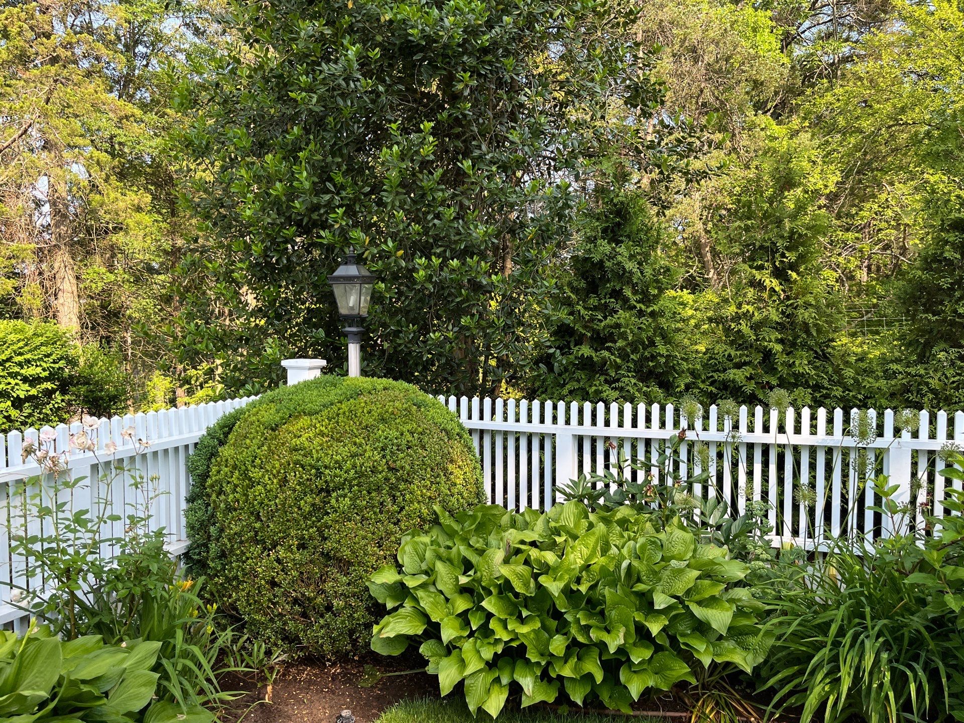 Professional Lawn Care for Far Hills Estate by Ants Plants