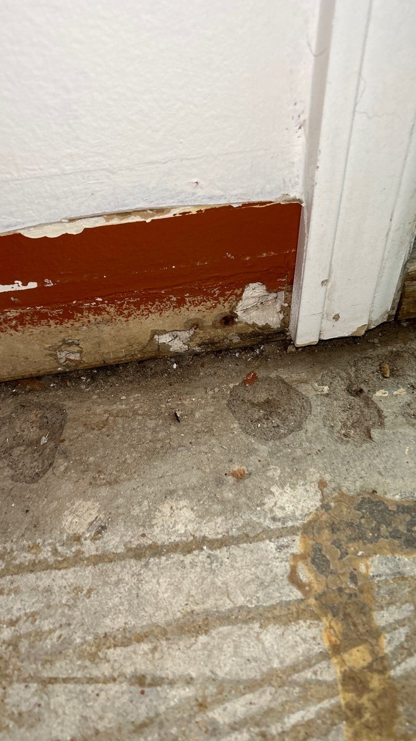 Mold Remediation by Accountable Home Services