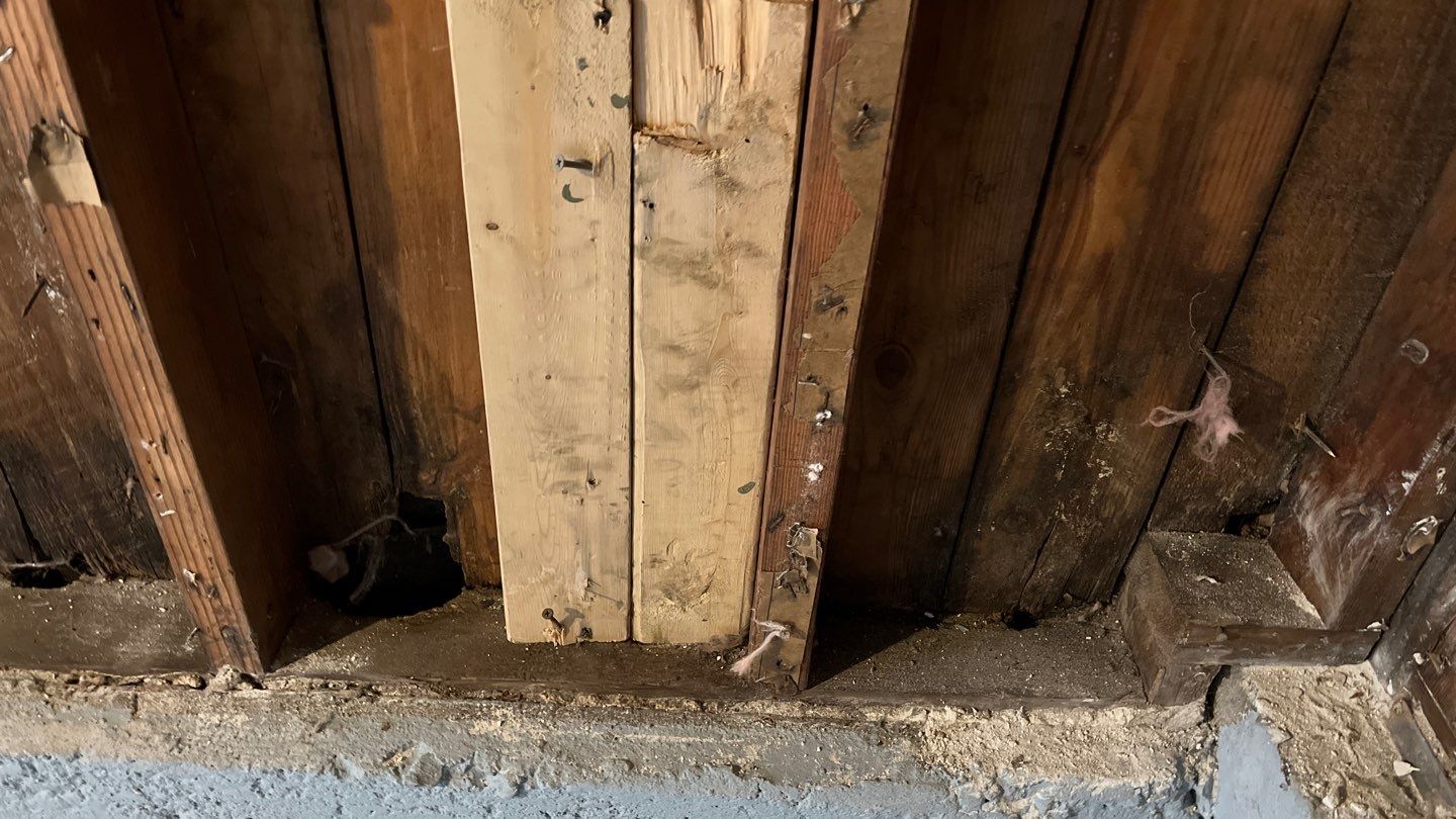 Water Damage by G2