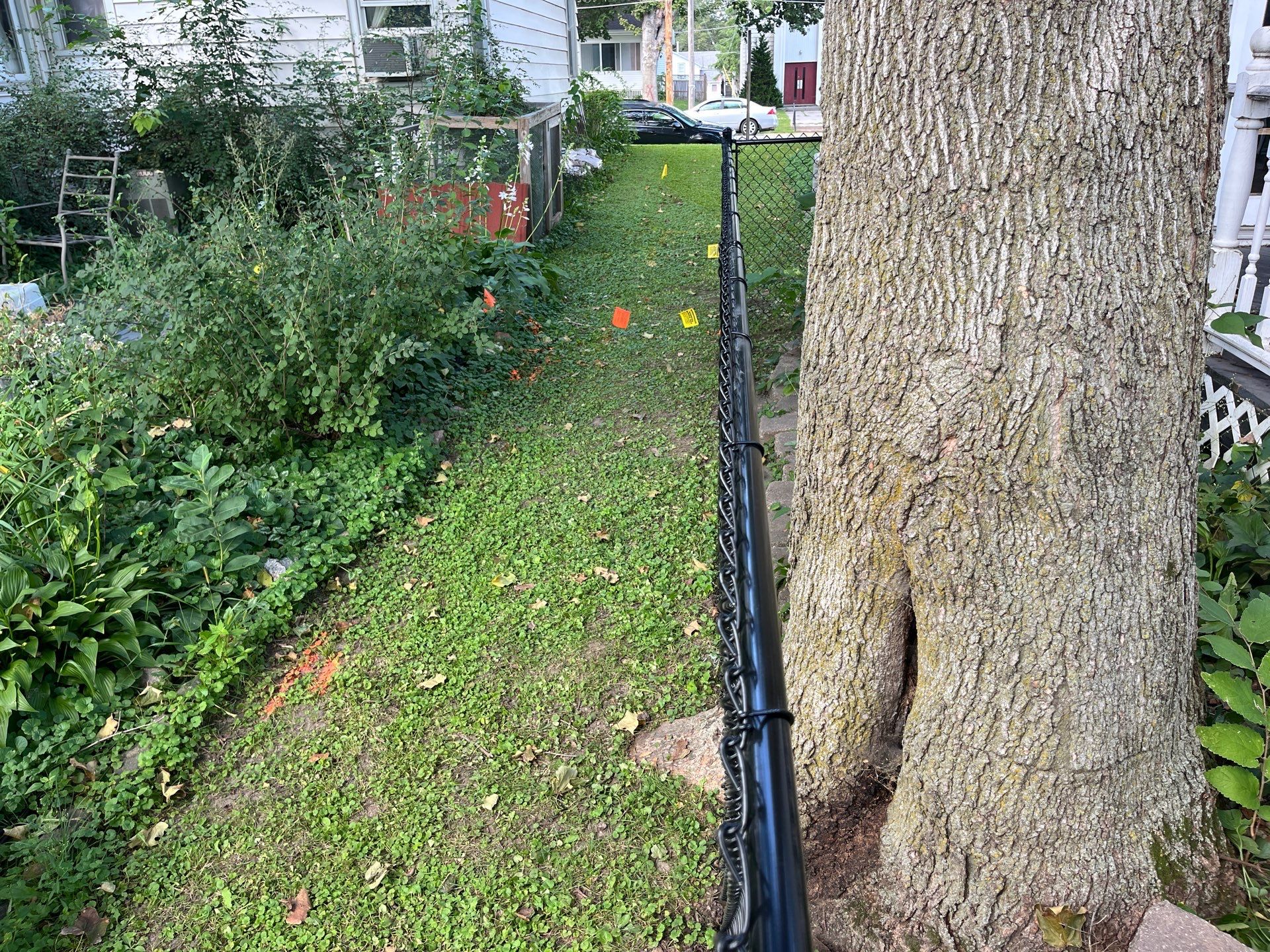 Black Chain Link Perimeter Fence and Gate Installation in Shell Rock by Perfect Picket Fence and Stain