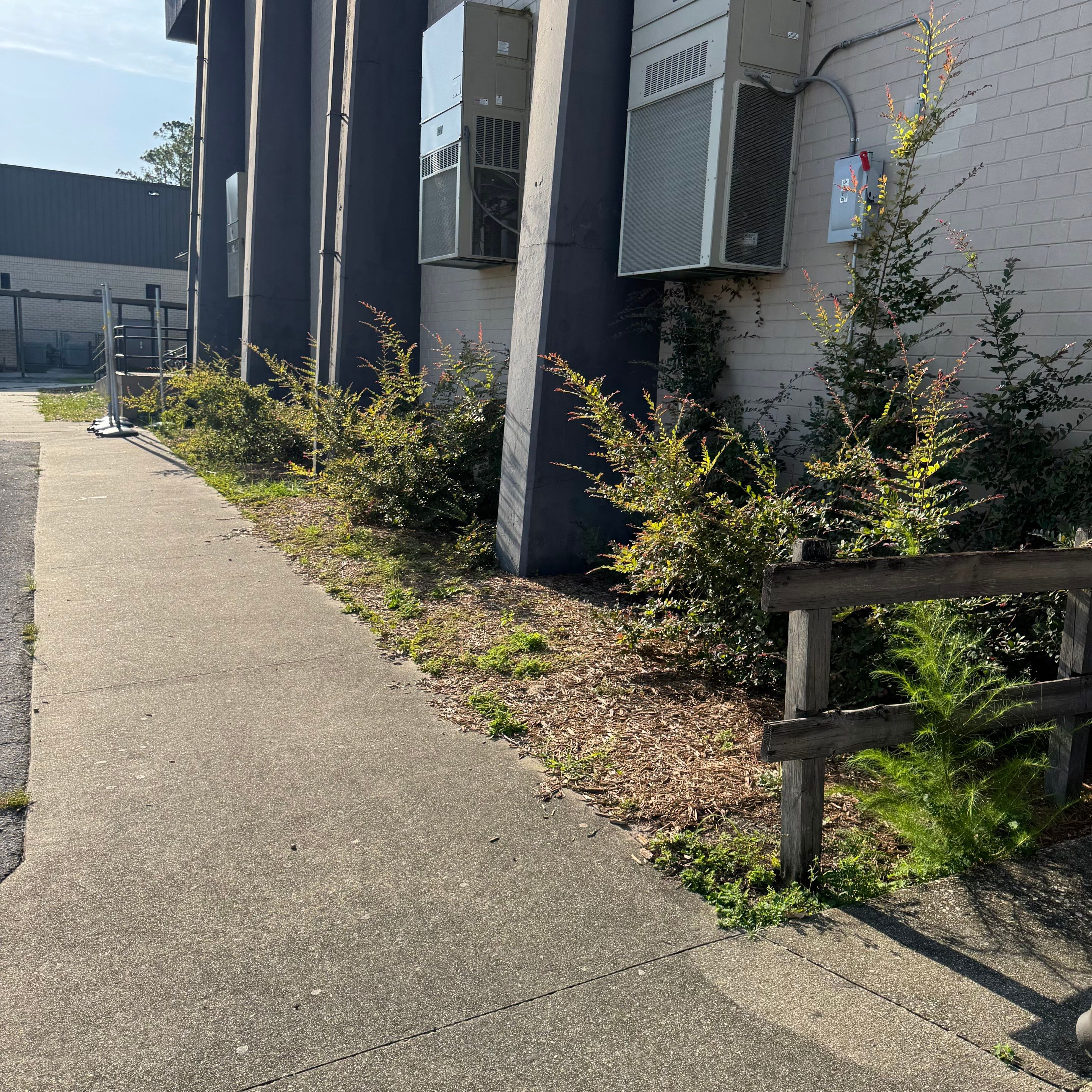 Green Cove Springs Junior High School | Landscape Refresh by ProGreen Services