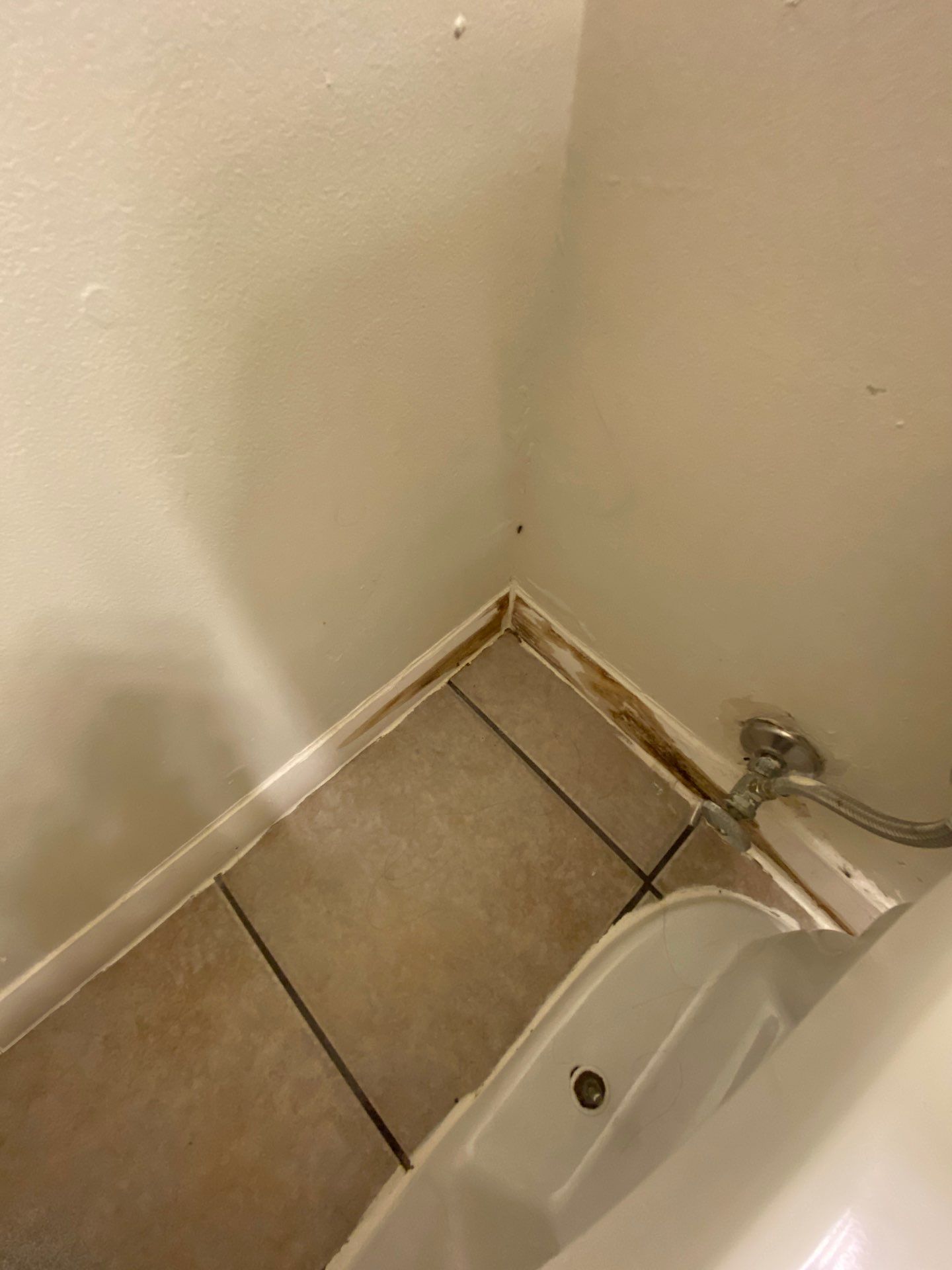 Project in Holly by EzDry Water Mitigation & Property Restoration