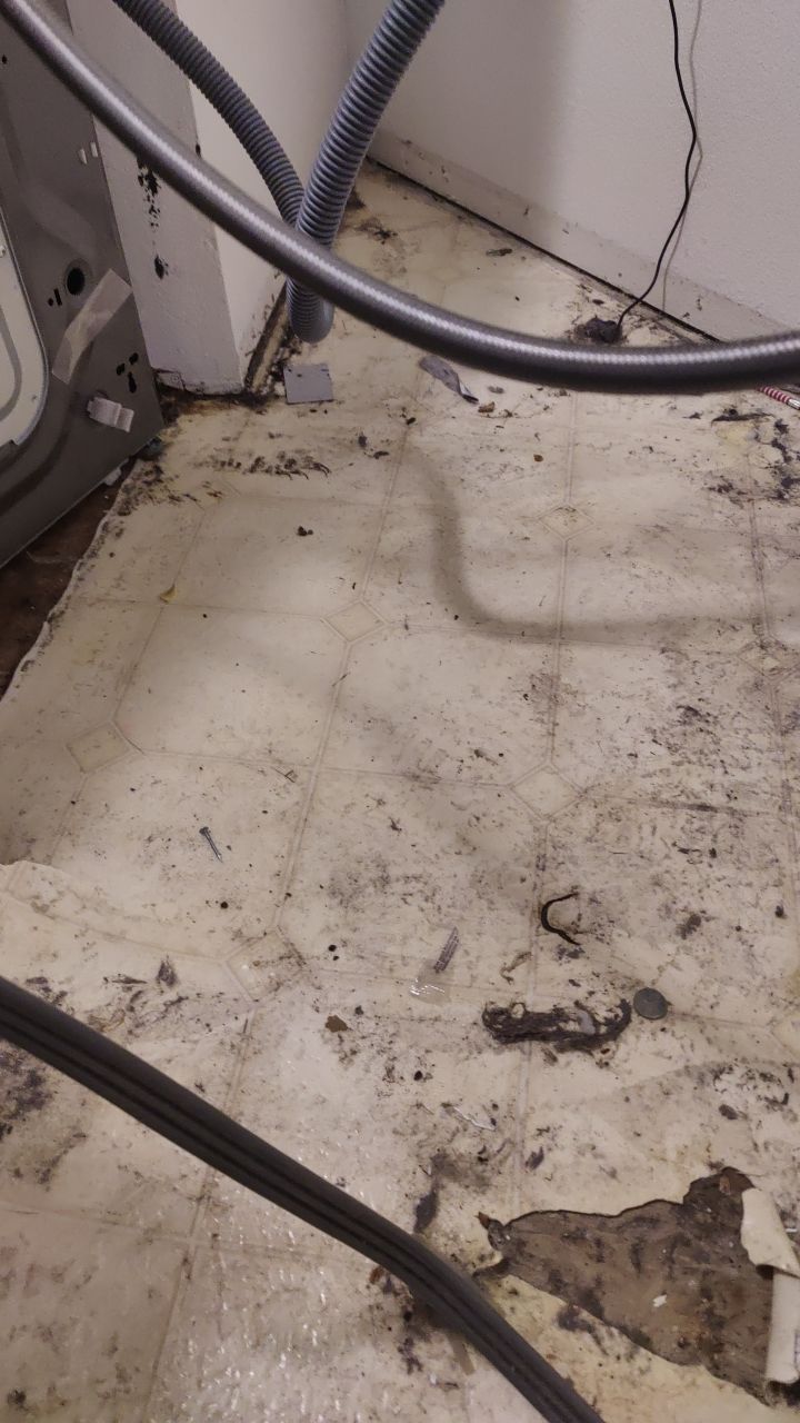 Water Damage  by Accountable Home Services