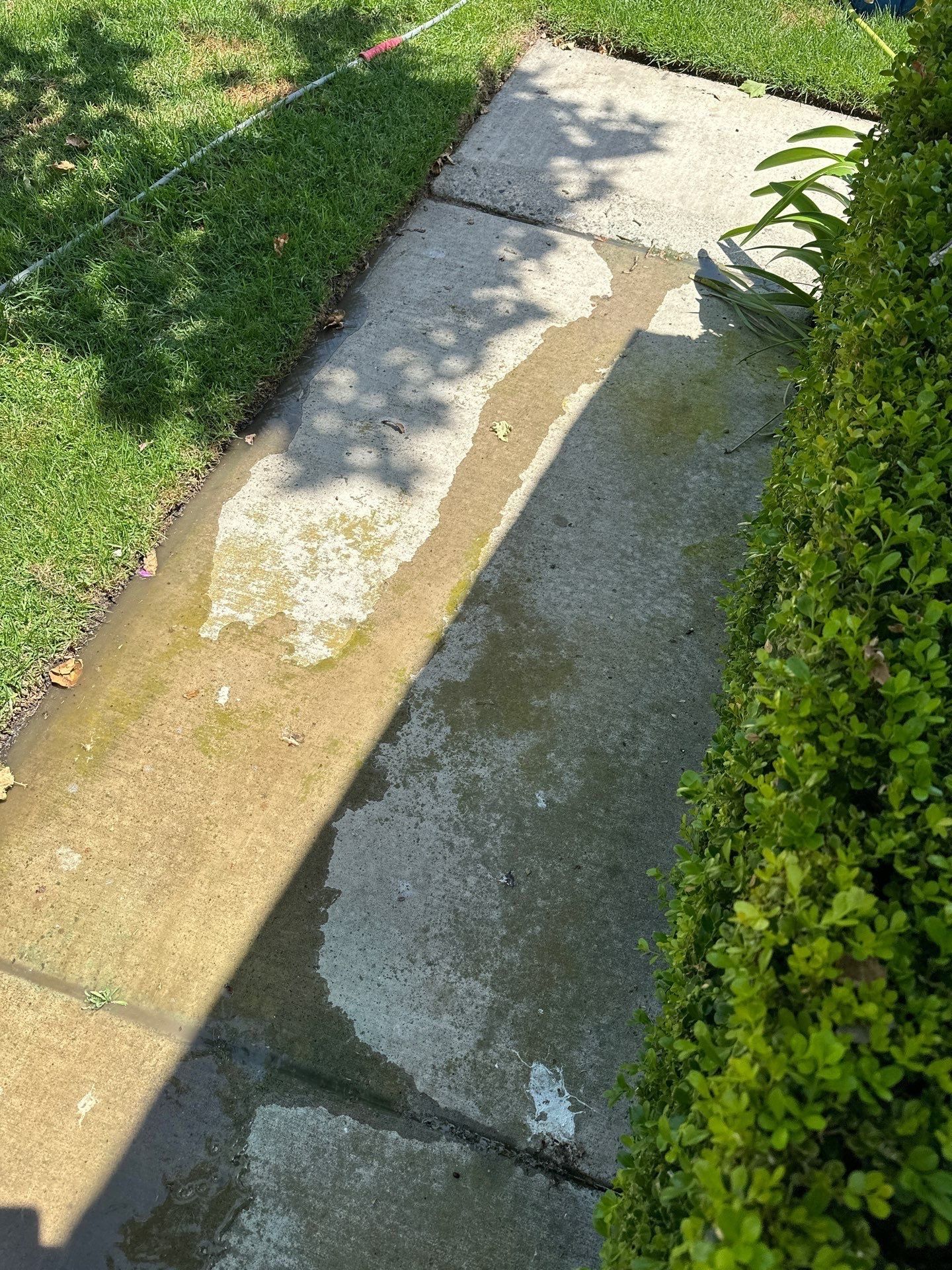 Patio Pressure Washing in Orange County, CA by Property Cleaning Experts
