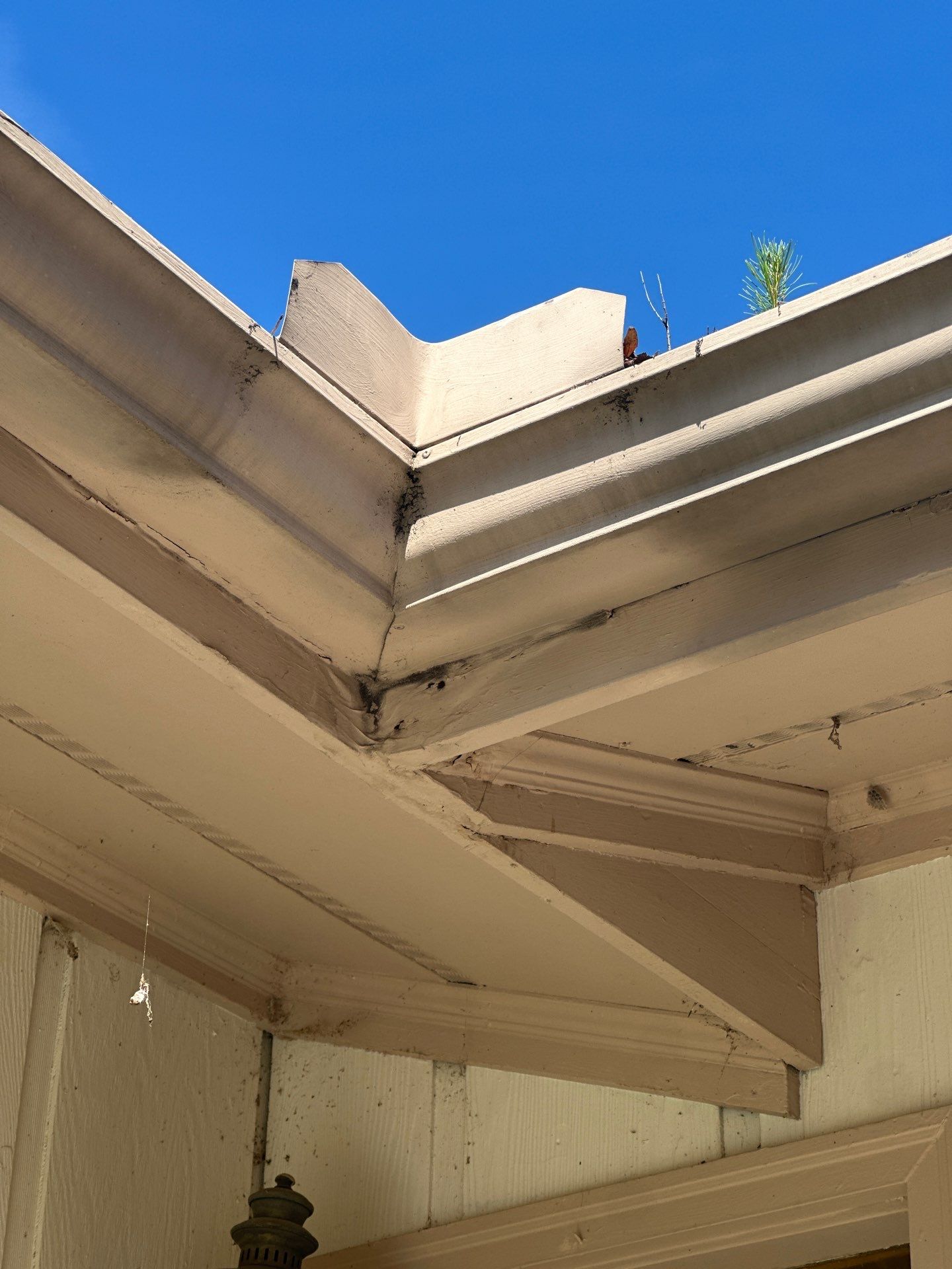 Trowbridge Dr Atlanta Roof Replacement  by Dom Roofing & Restoration