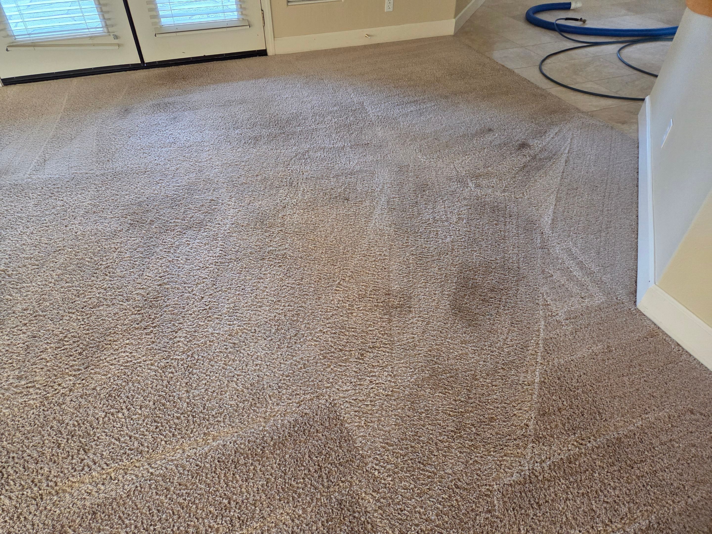 Carpet Cleaning and Stain Removal in Shingle Springs by Ardent Carpet Restore LLC