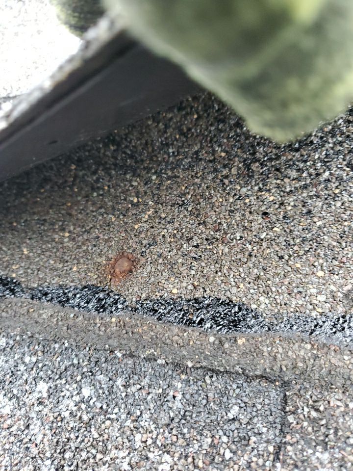 Roof repair in Parma, Ohio by Barbera Home LLC