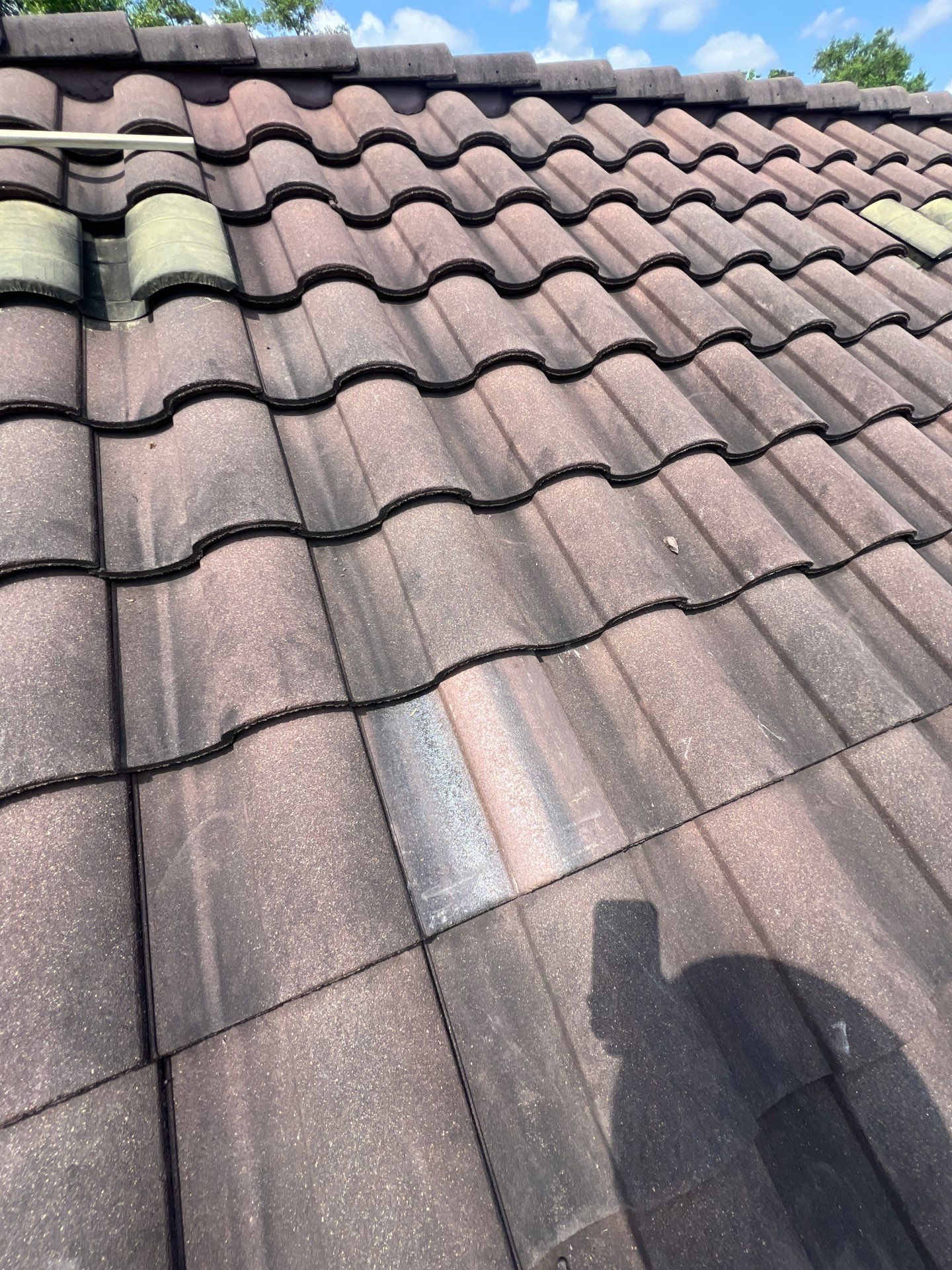 Roof Repair Spring by Roof Repair Company