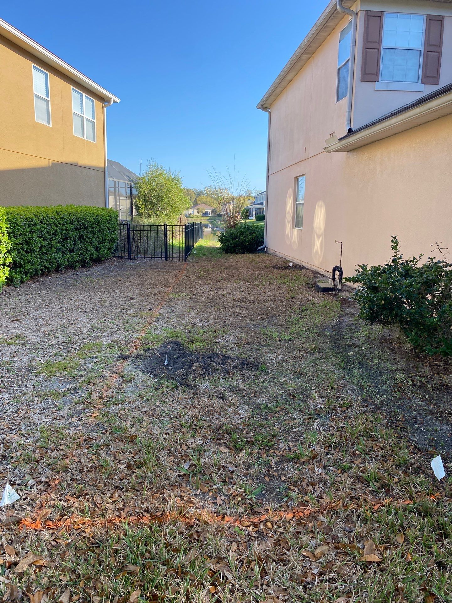 Residential | Sod Install by ProGreen Services
