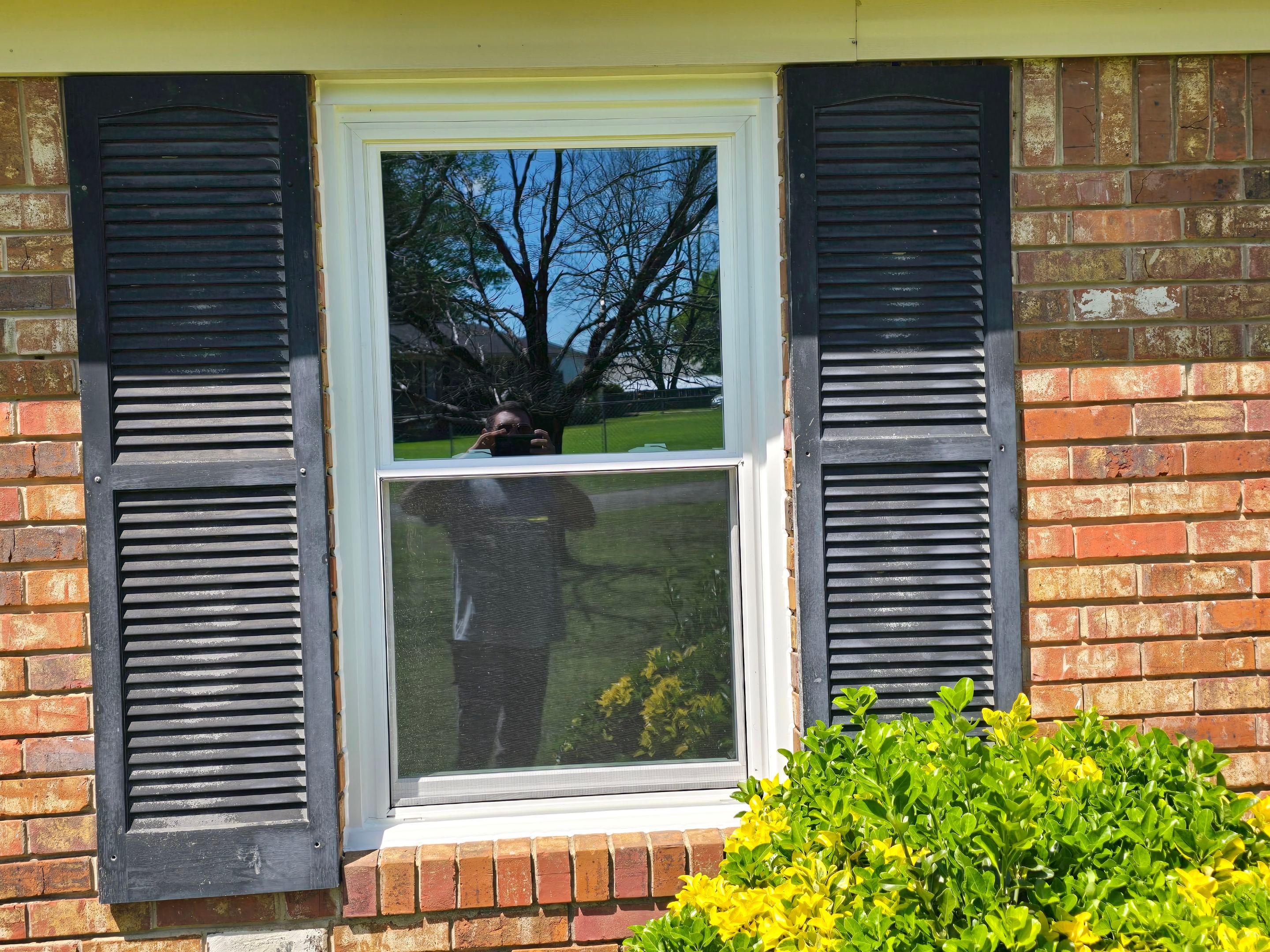 Boyd Project in Tuscaloosa  by The Window Source