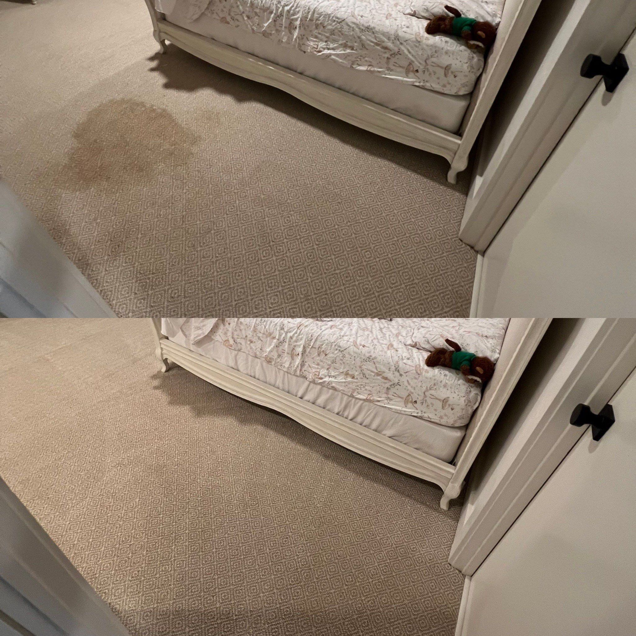 the service shown is deep carpet cleaning removing stains and restoring the appearance of the carpet in a bedroom