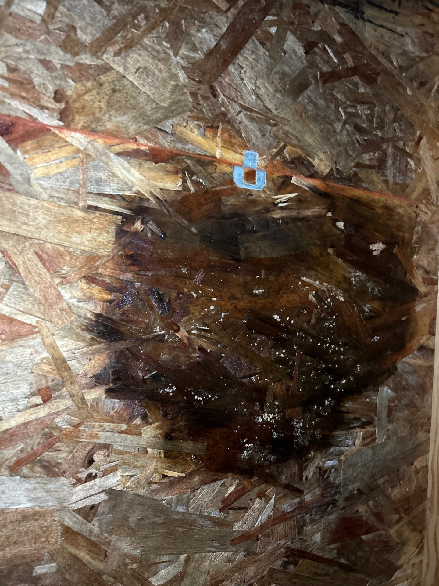 Project in Mount Vernon by Connolly Construction Company