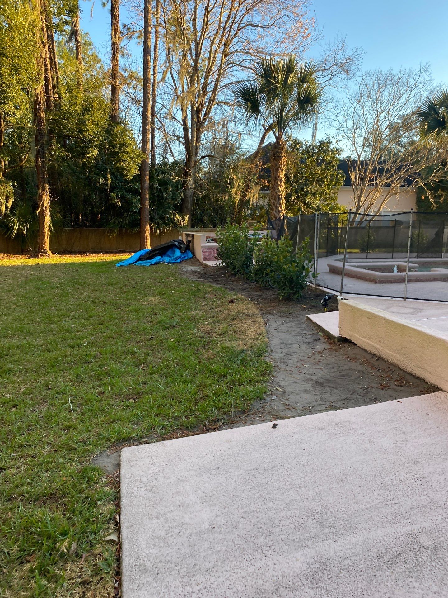 Deerwood Resident | Tree Removal & Clean-Up by ProGreen Services