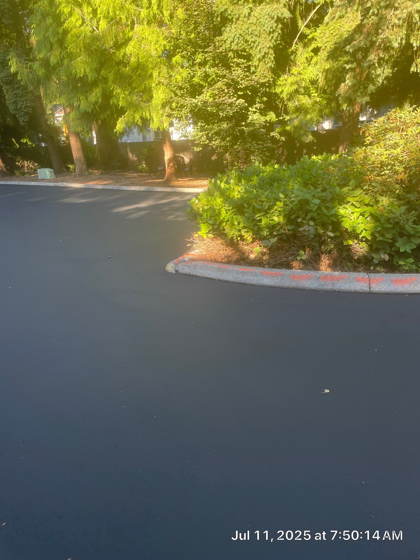 Curb Repaint | Seattle  by Jireh Asphalt & Concrete Inc 