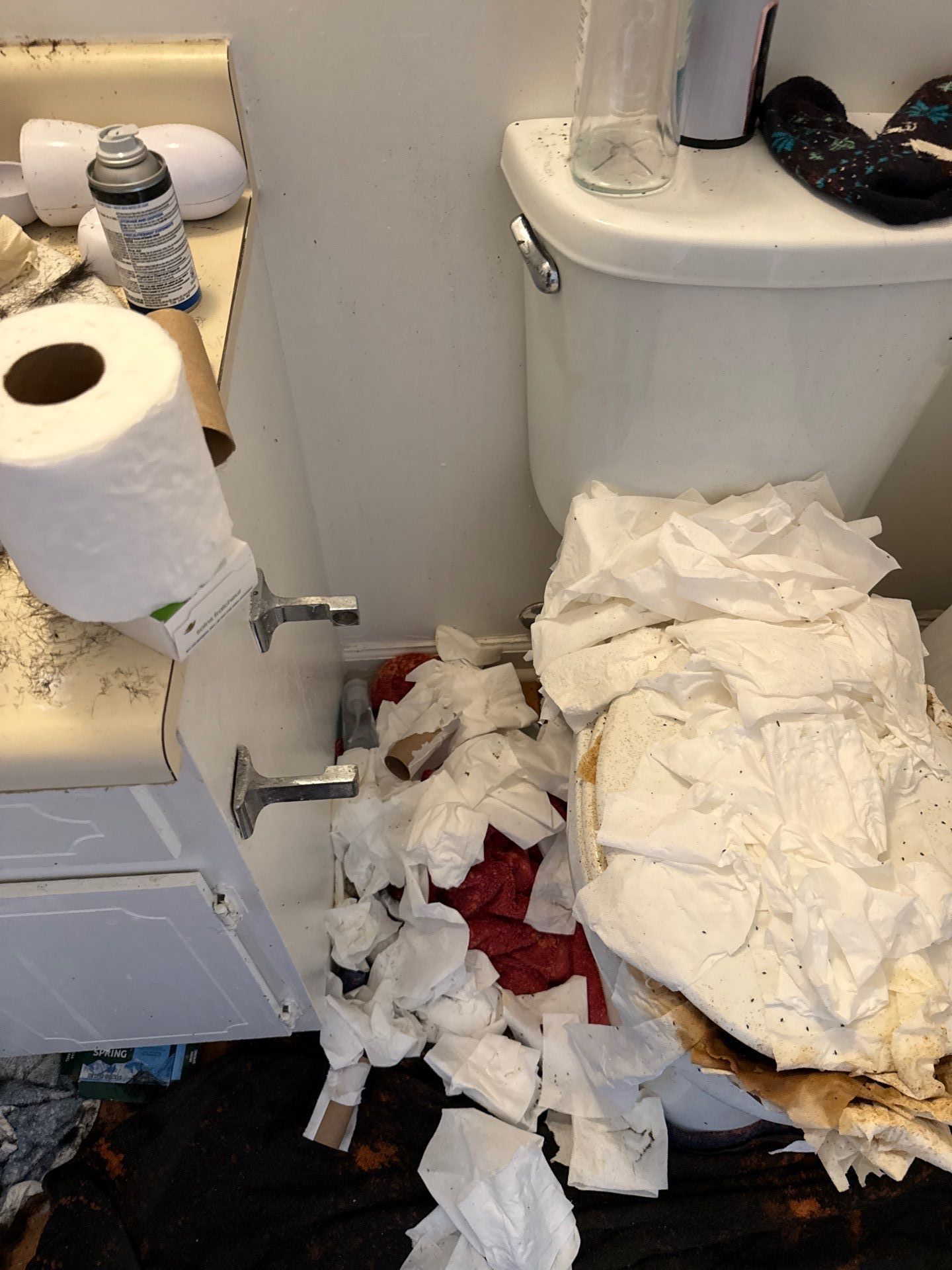 Project in Monroe by Badger Hauling