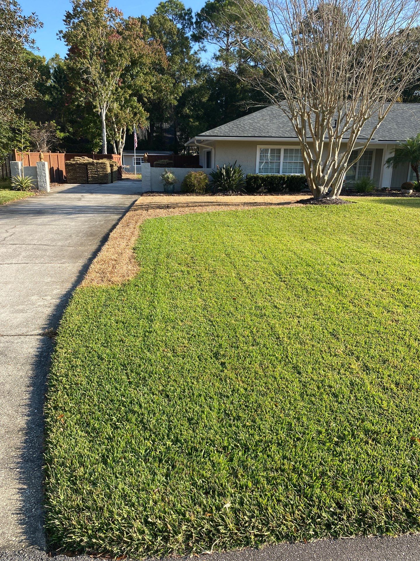 Deerwood Resident | Winter Sod Replacement by ProGreen Services