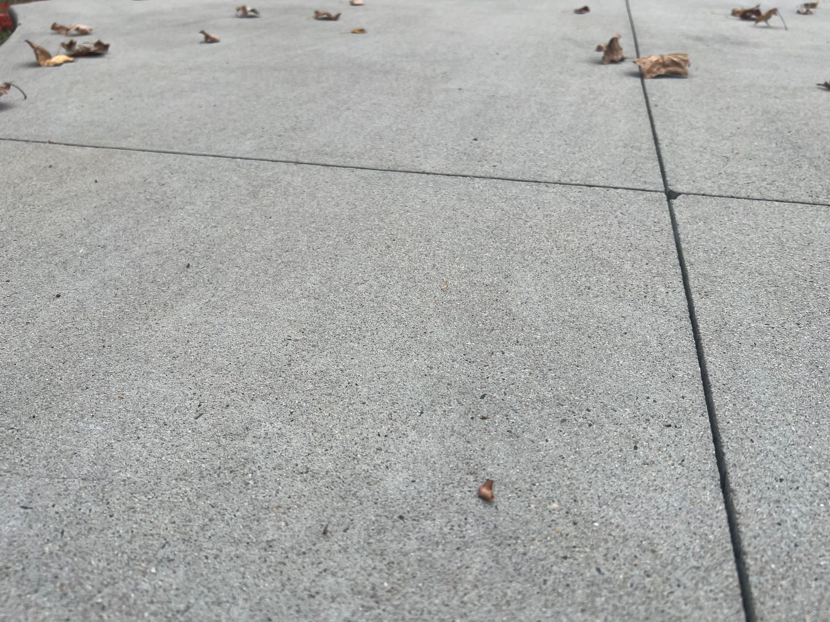 Pool Deck in Lansdale Pa by Architectural Concrete Design