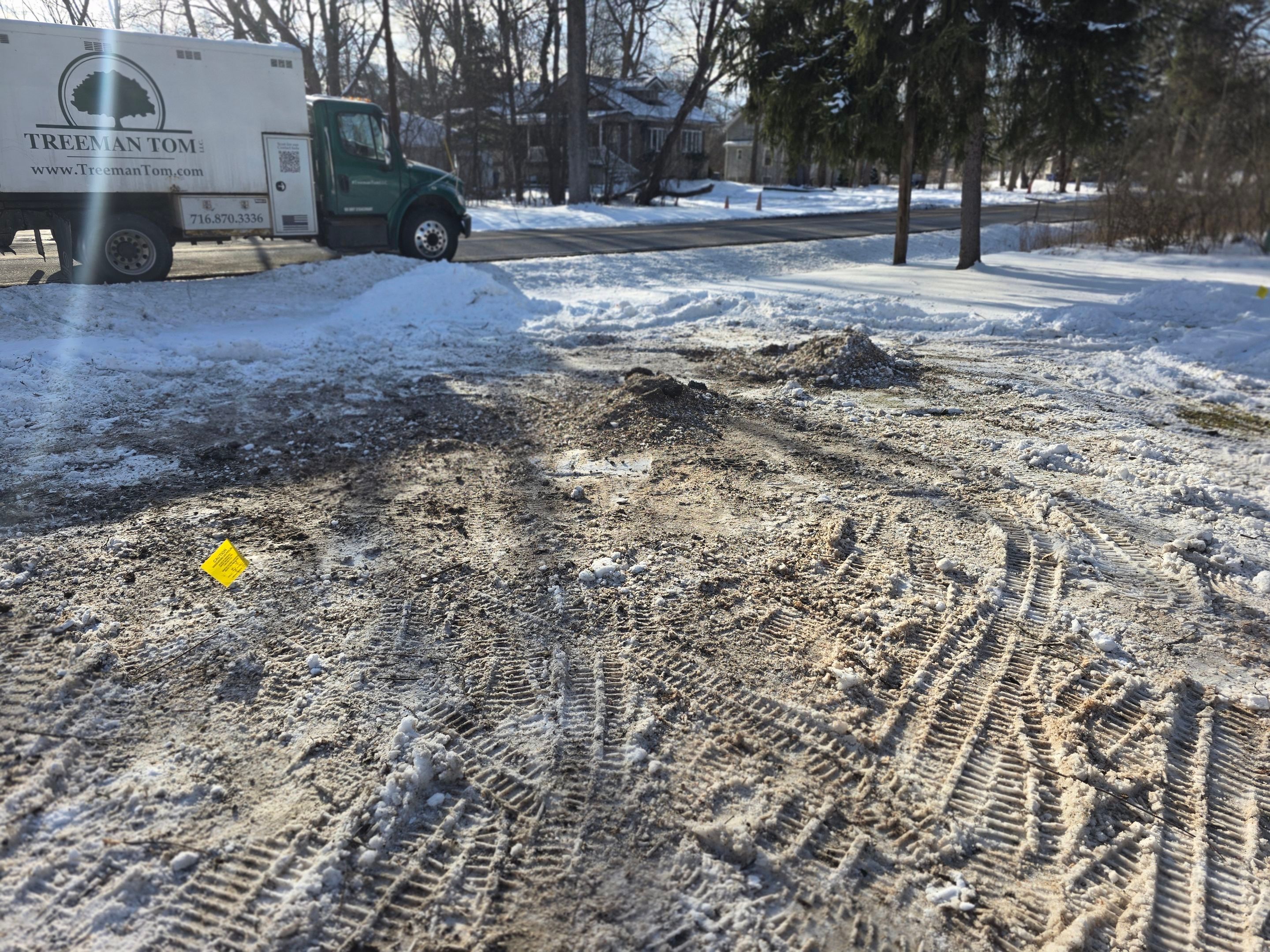 Tree Removal: Future Drive install by Treeman Tom LLC