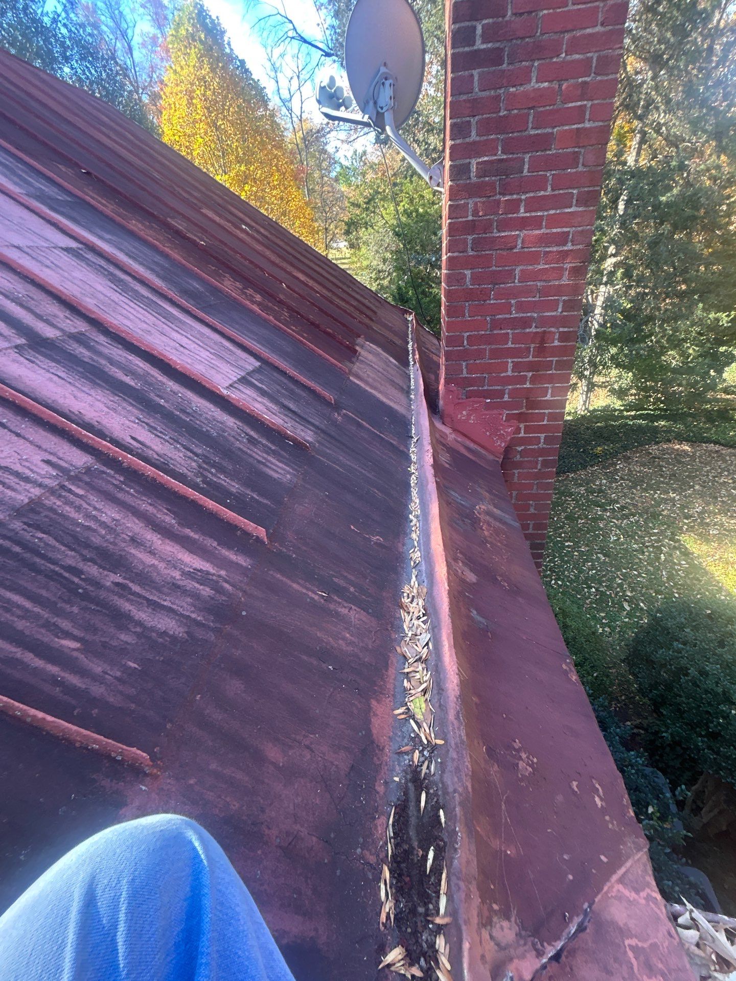 Alexandra: Residential Metal Roofing  by RM Banning, Inc.