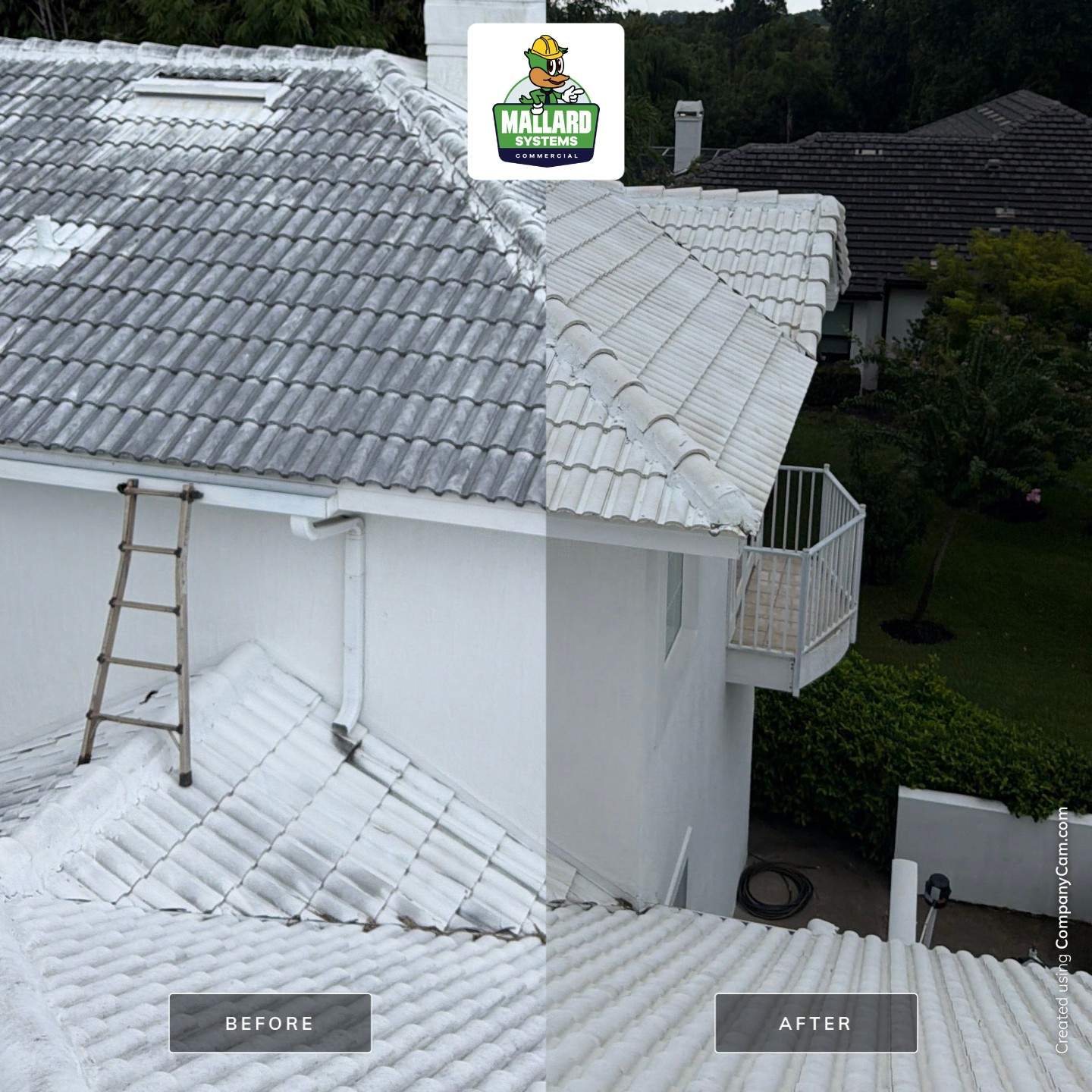 White Tile Roof Cleaning in Windermere by Mallard Systems