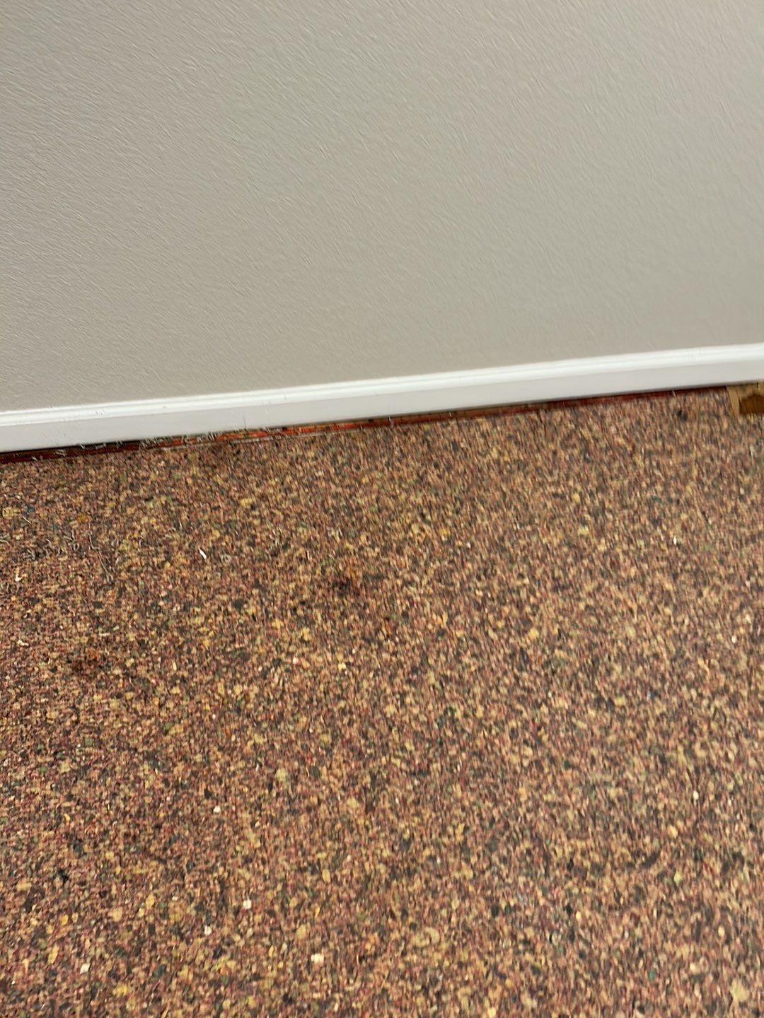 Water Damage by Accountable Home Services