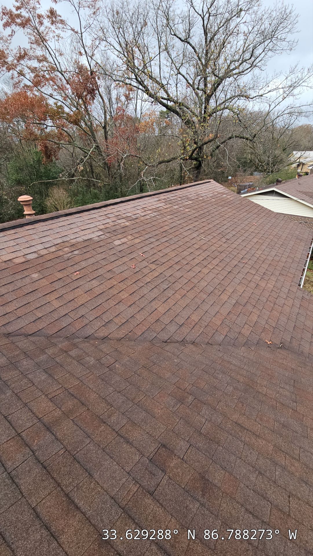 Roof Replacement (Barkwood) and Tree Removal in Birmingham  by The Roofing Dudes