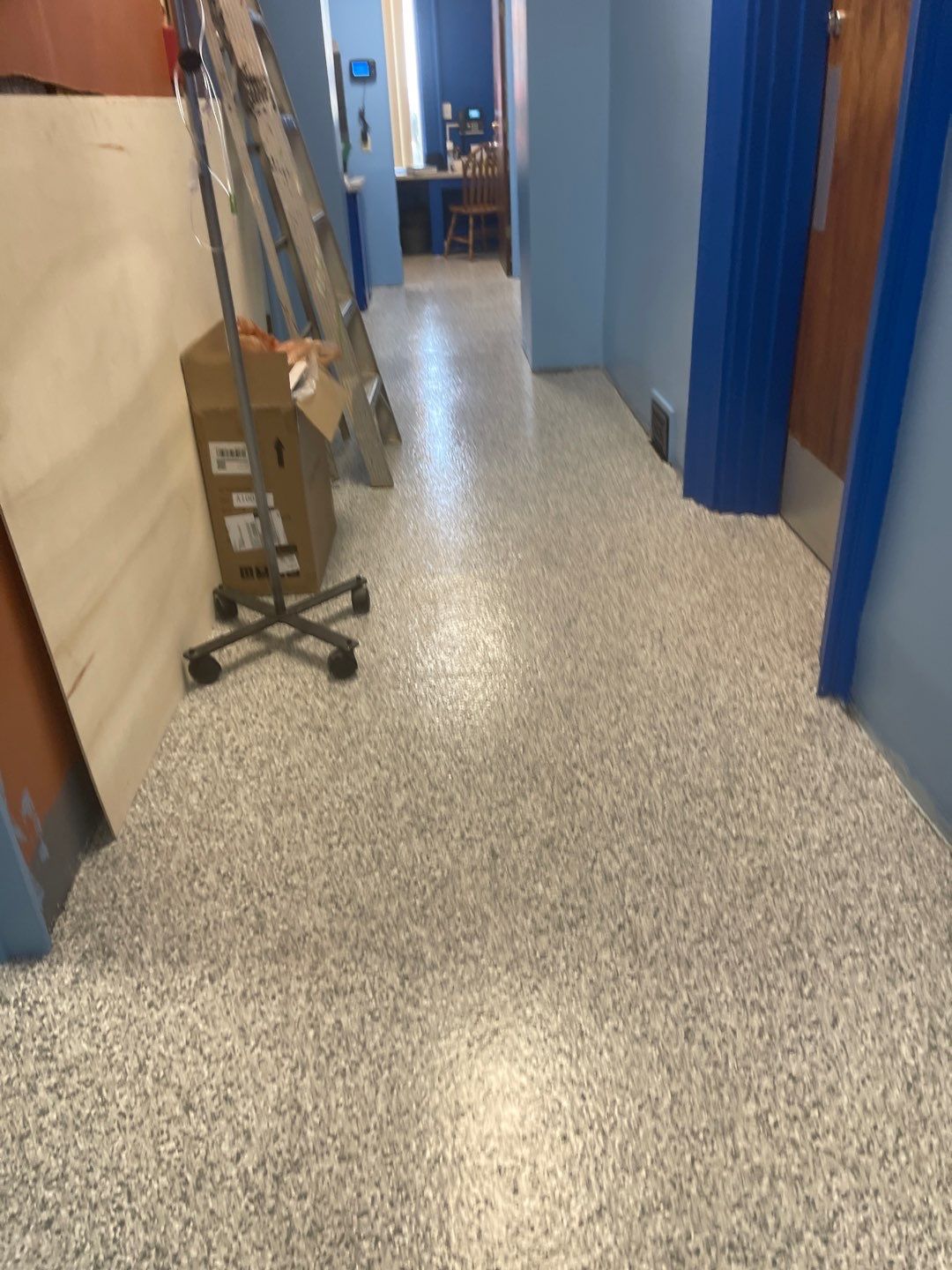 Cat Hospital Project in Pittsburgh by Floors in a Day, Inc
