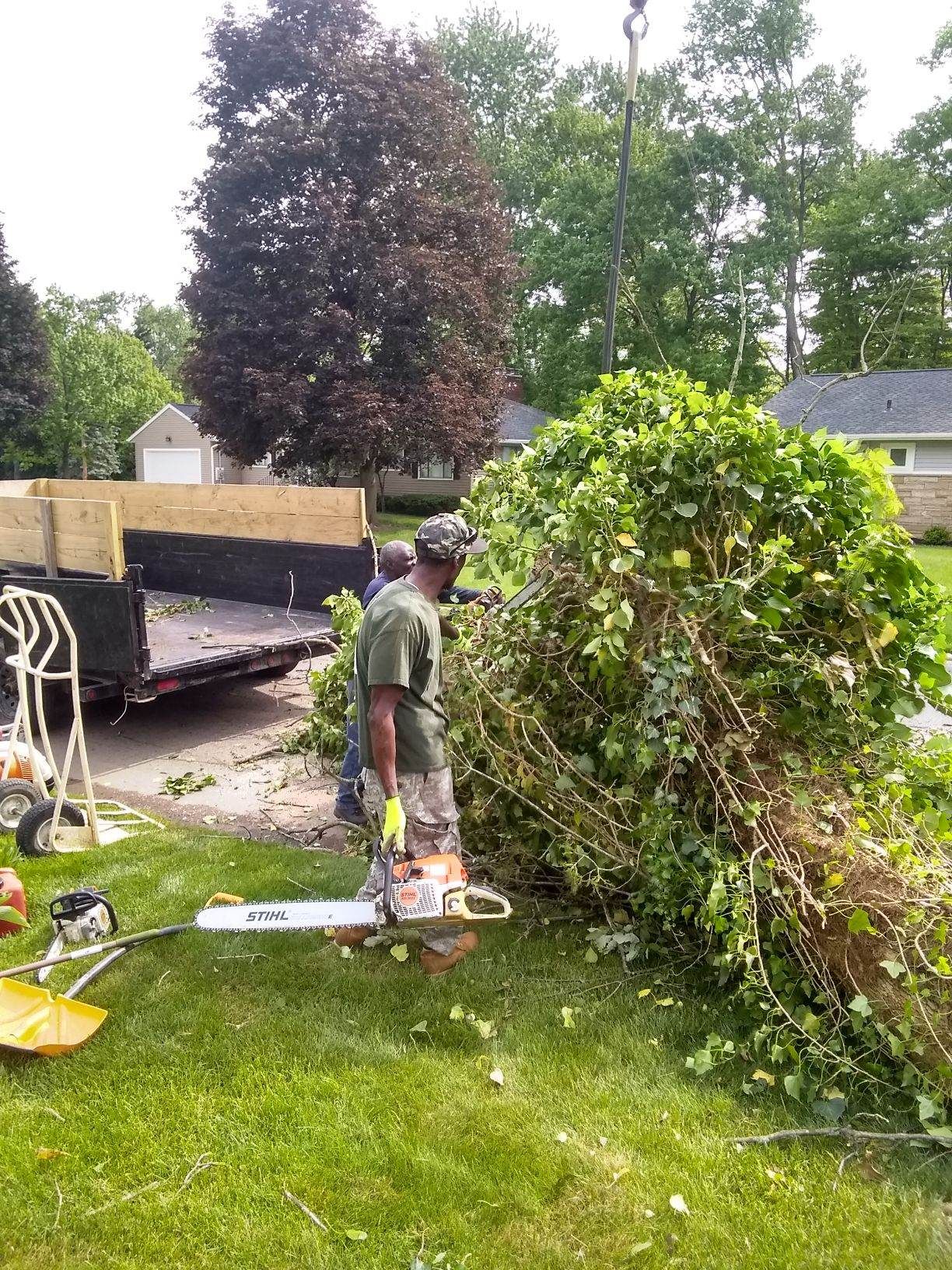 Tree Removal using Tree Removal by Mike Jones & Sons Tree Service LLC 