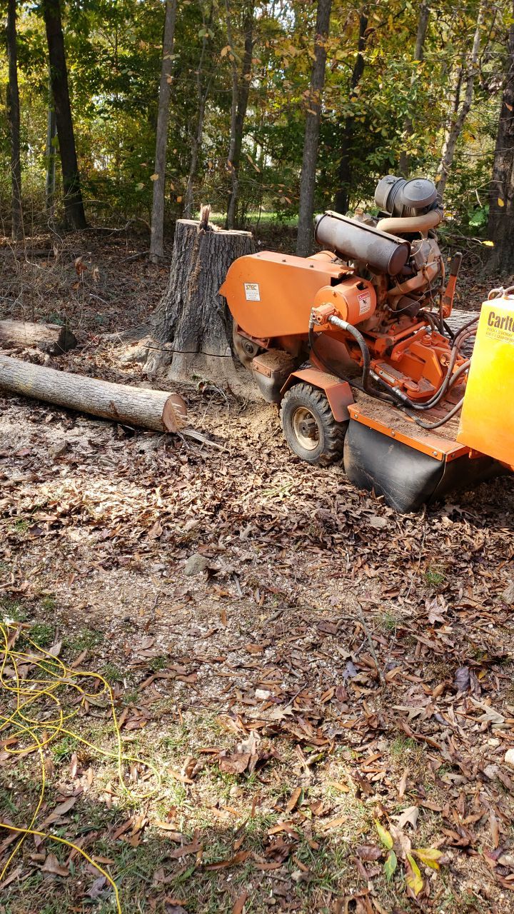 land clearing using machinery by Power Wash Masters LLC