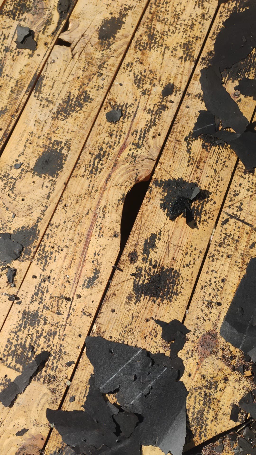 Project in Seminole 33772 by Mitchell Roofing Company LLC 
