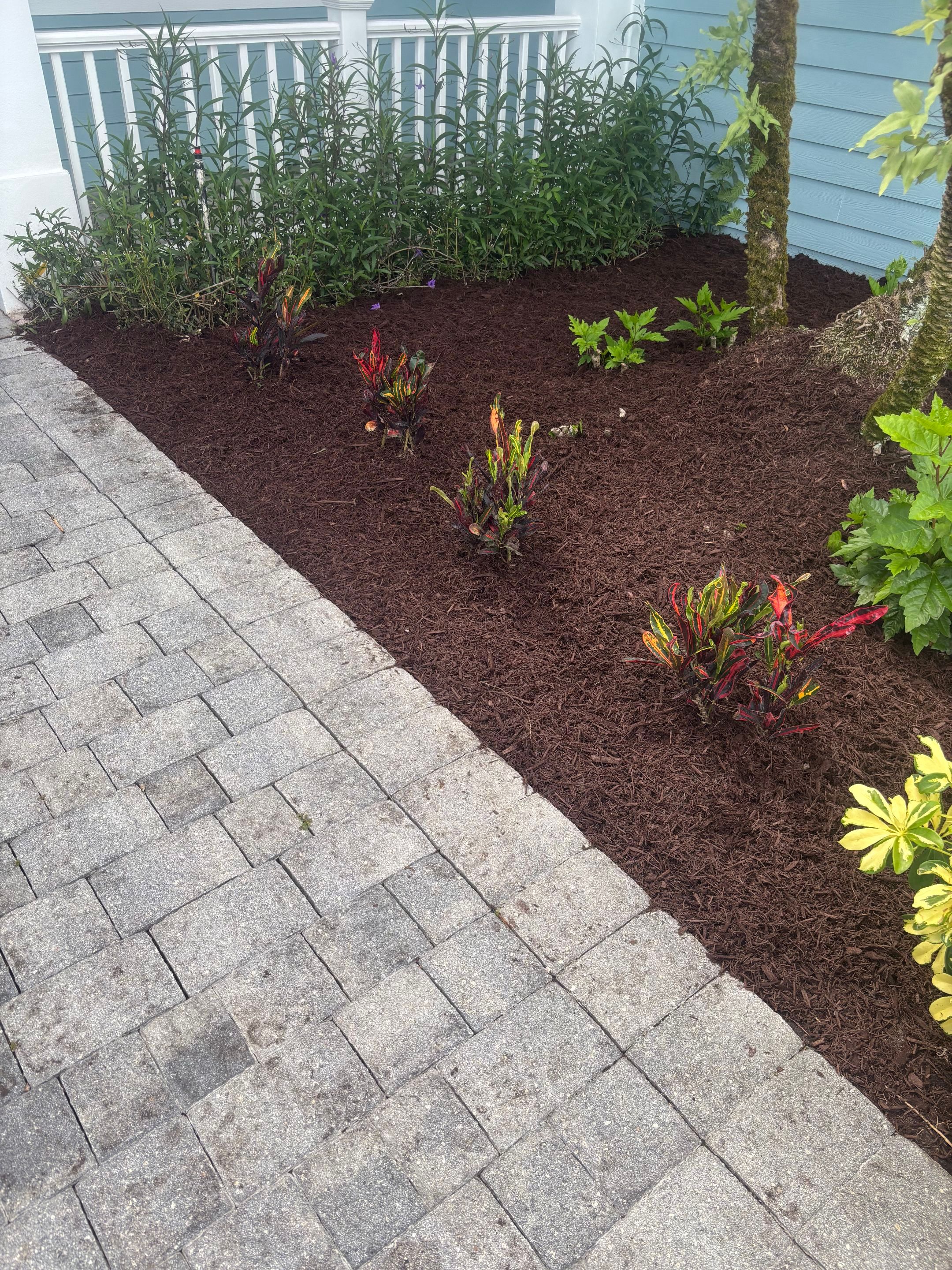 🌴✨ North River Shores Landscape Transformation ✨🌴 by Alpha Zeta Enterprises Inc