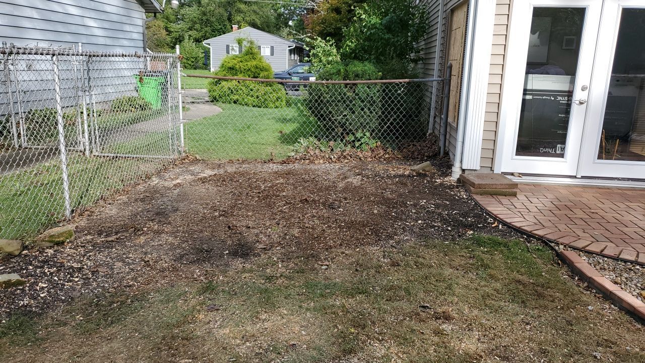 Oak Tree Removal by Mike Jones & Sons Tree Service LLC 