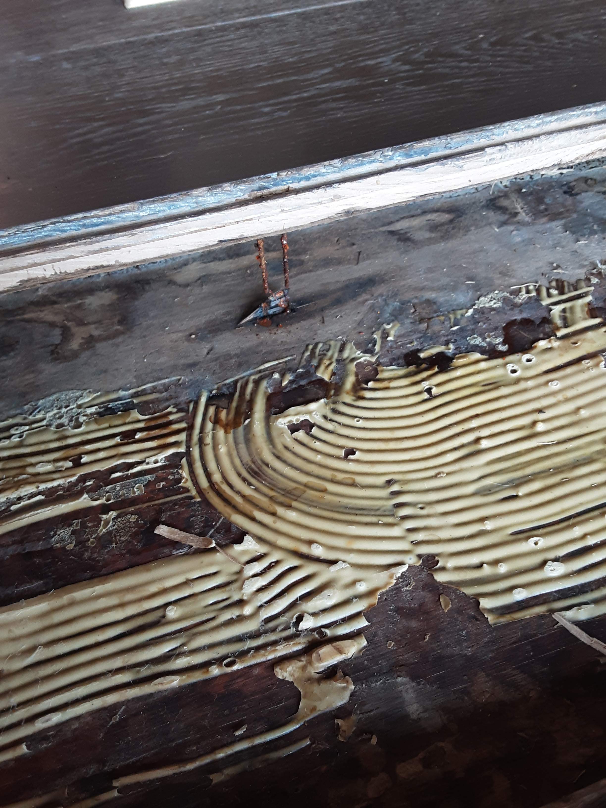 Interior water damage inspection by ASAP Roofing & Exteriors