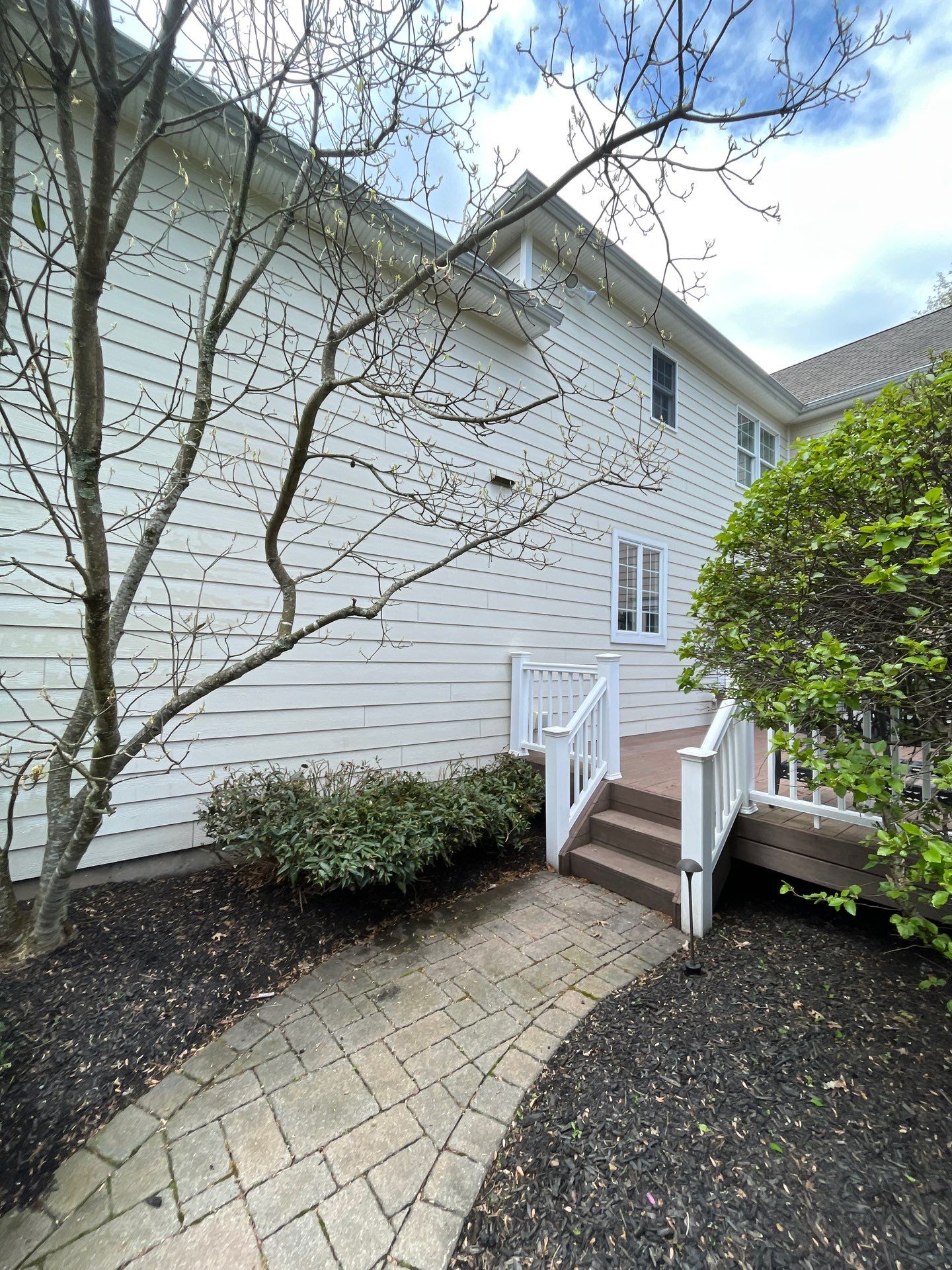 Lawn Care and Shrub Care at a beautiful Bridgewater property by Ants Plants