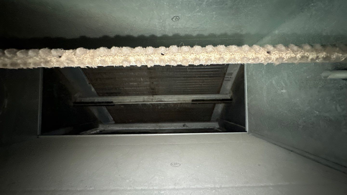 Commercial Air Duct and Pizza Oven Cleaning in Clermont by Hygienic Air, Inc