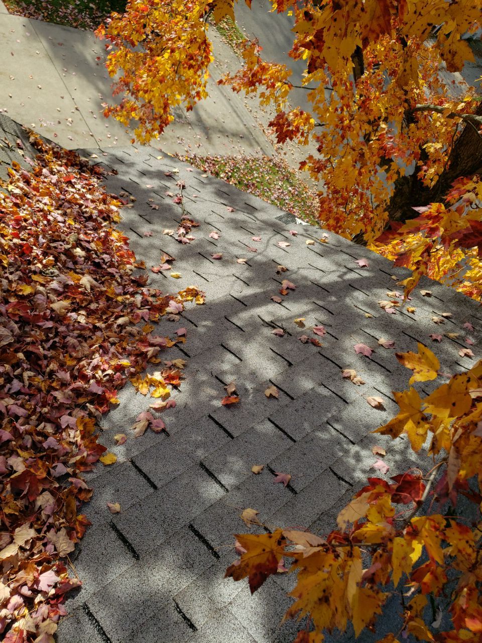 ATLAS PINNACLE SCOTCHGARD COLOR: PEWTER DRIP EDGE: BLACK by Eagle Eye Roofing