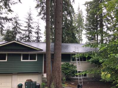 23916 Edmonds