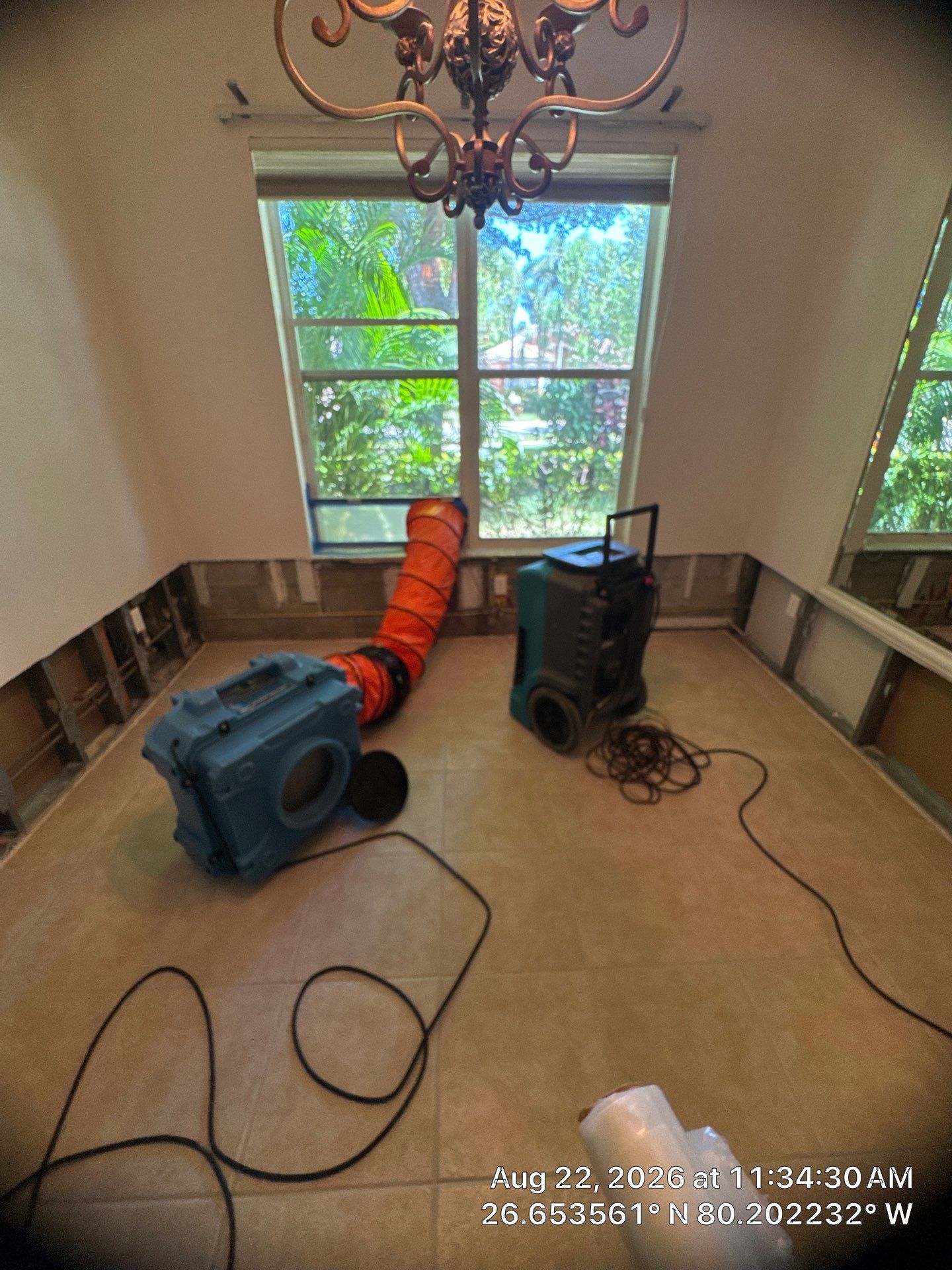 Professional Mold Remediation and Structural Drying in Wellington by SuperClean 