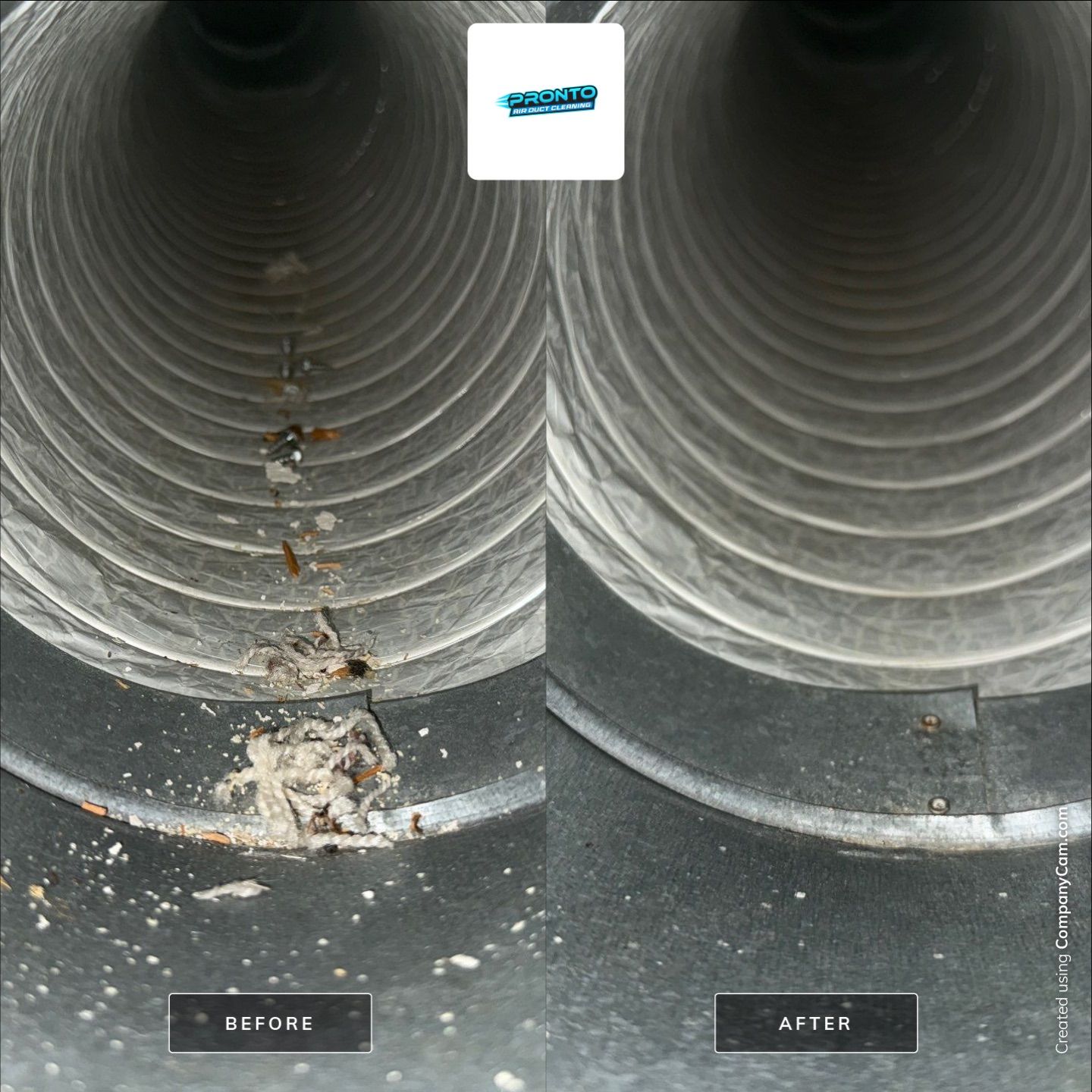 Air Duct and Dryer Vent Cleaning, Gainesville VA by Pronto Air Duct Cleaning