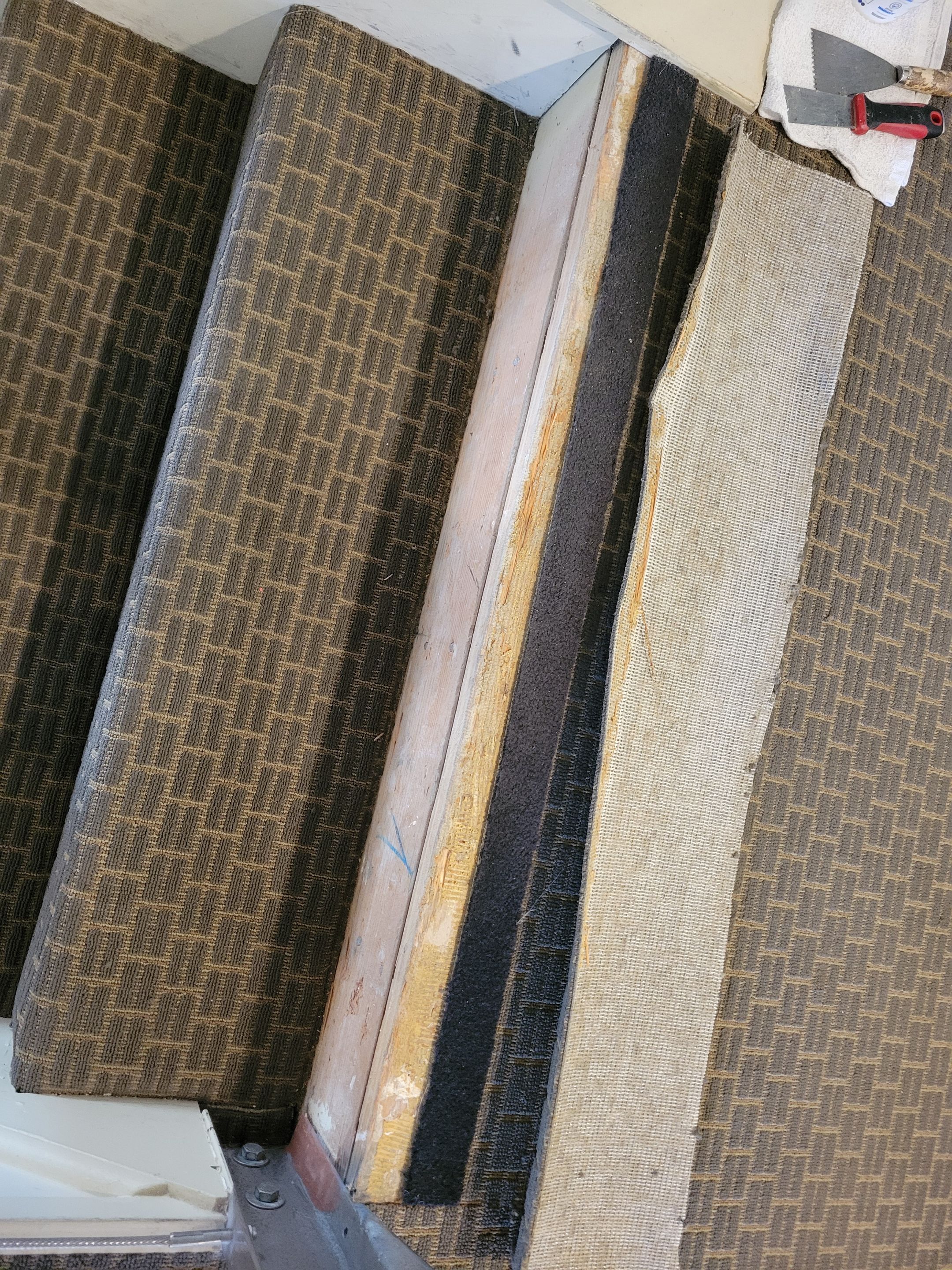 Loose Step on Commercial Glue Down by Ardent Carpet Restore LLC