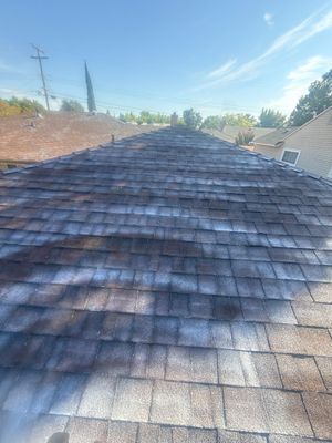 Roof Rejuvenation using Roof Maxx Treatment