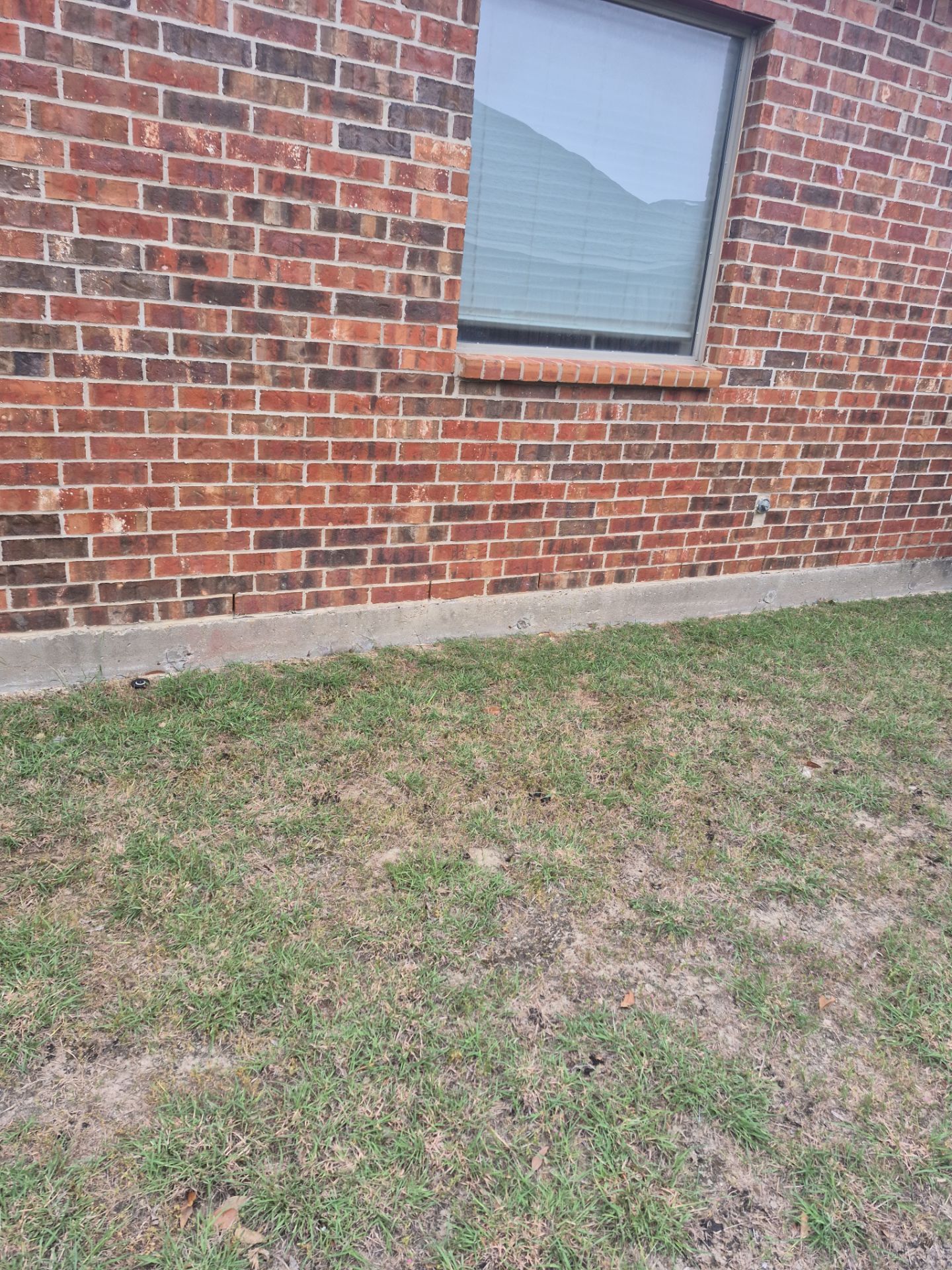 Joyce in Glenn Heights by Trojan Solar