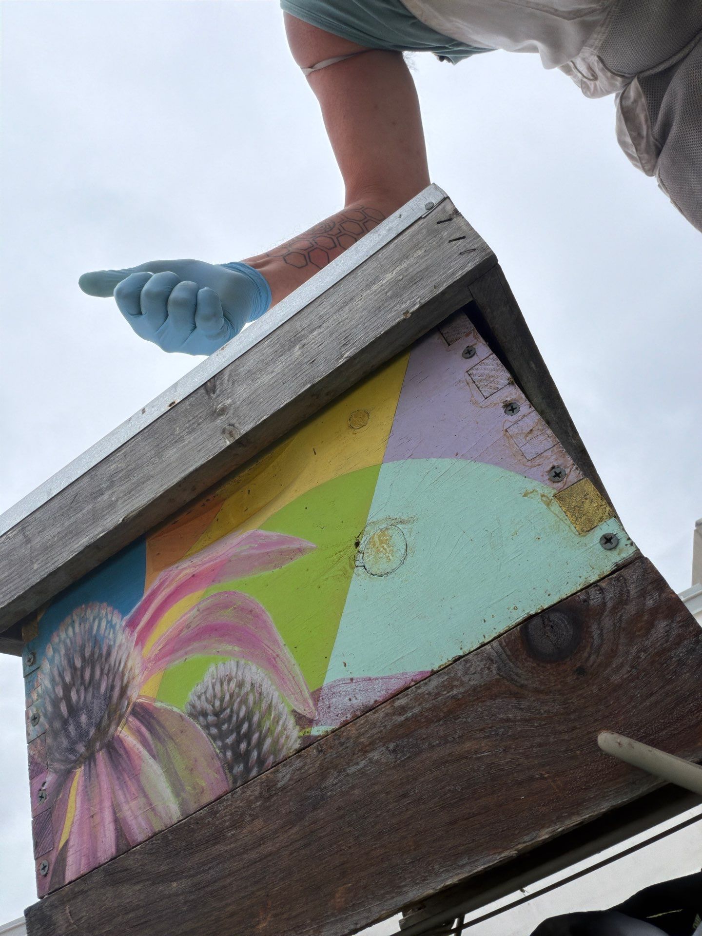Downtown Dallas by Rockwall Honey Bee Company