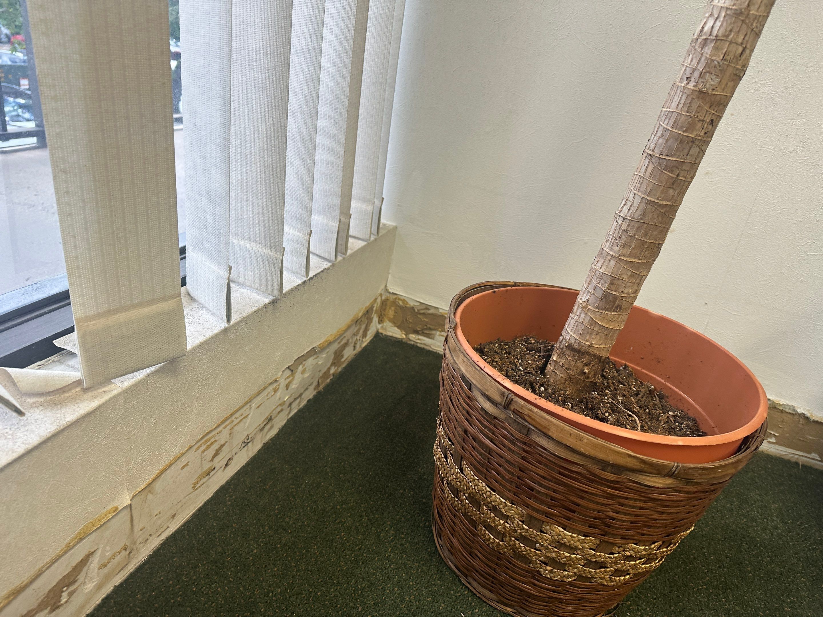 Water Damage Claim in Hollywood by FLAPA & KeyStone