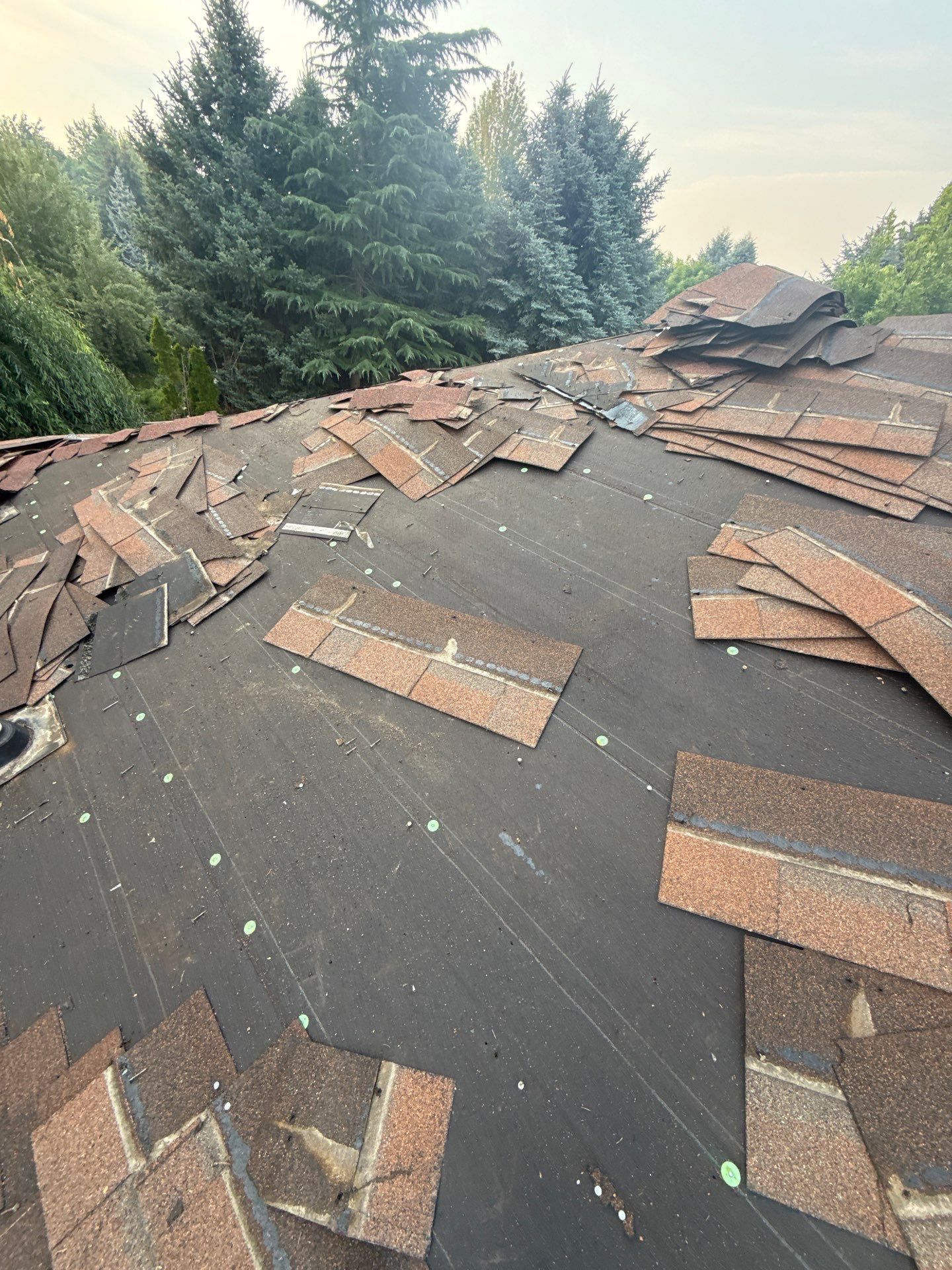 Boise Commercial Roof Replacement with Brown Architectural Shingles by Olive Roofing