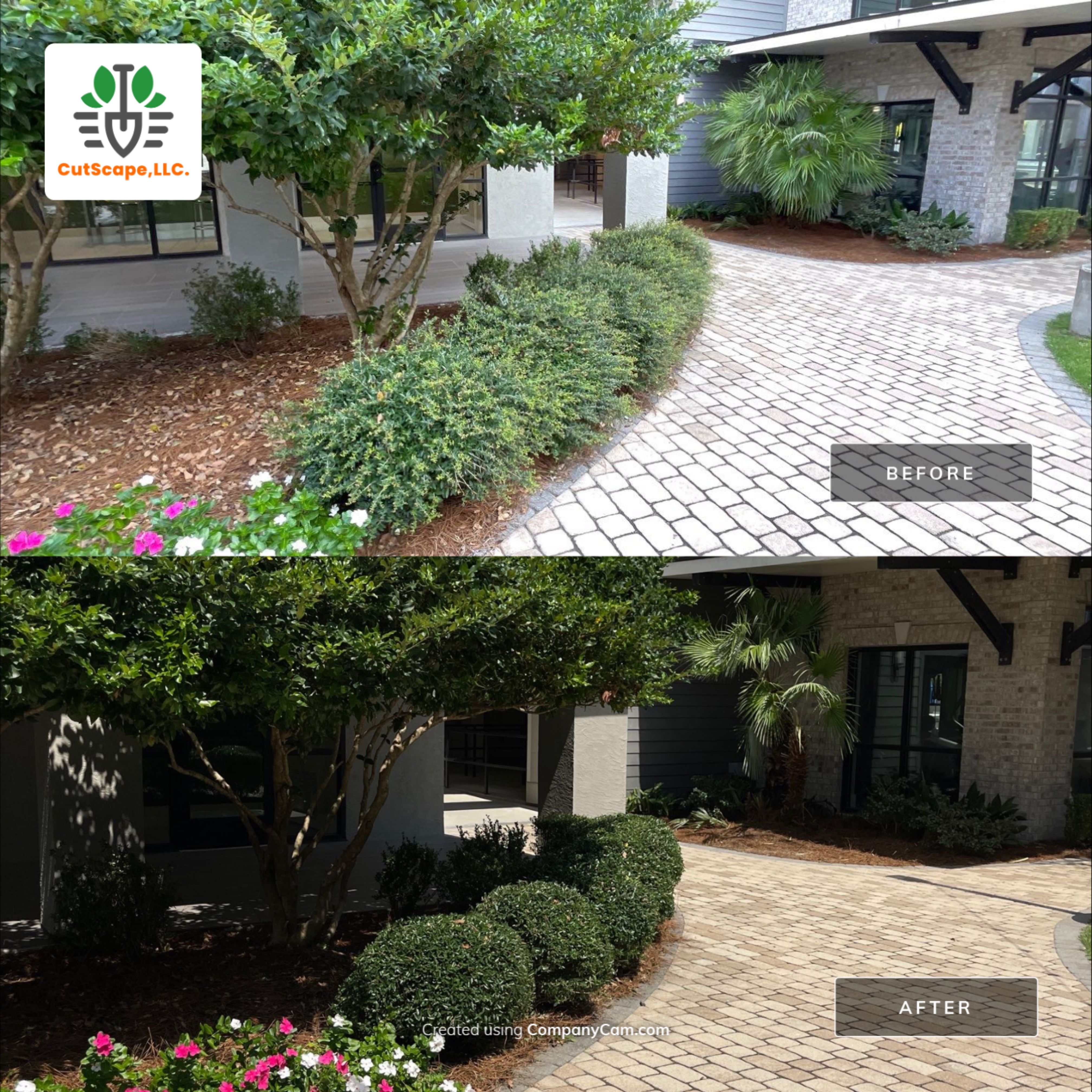 MULTI FAMILY PROPERTY: HEDGE TRIM / BED CLEAN by CutScape, LLC.