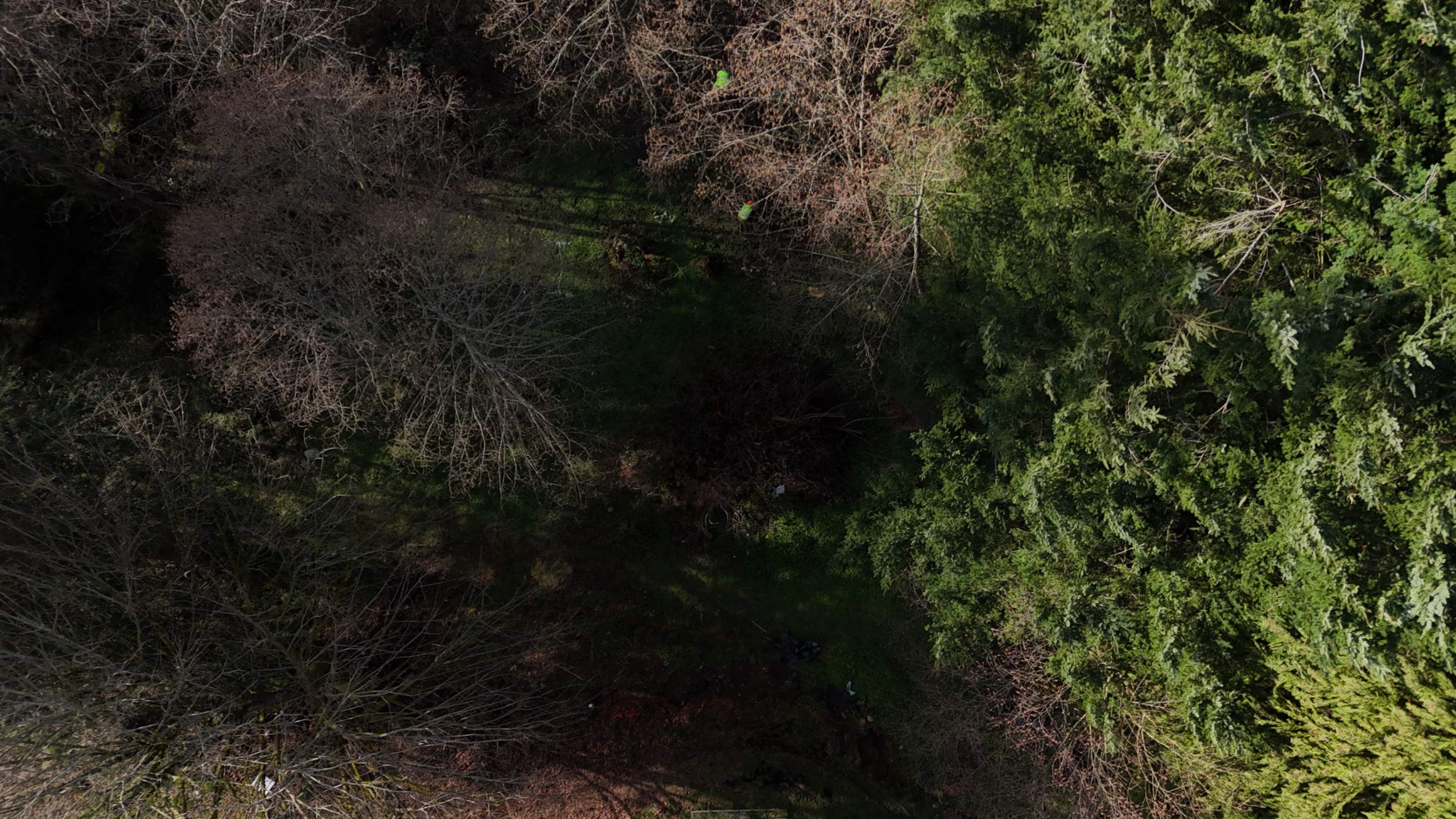 Retaining Wall and Backyard Renovation | Everett  by Jireh Asphalt & Concrete Inc 