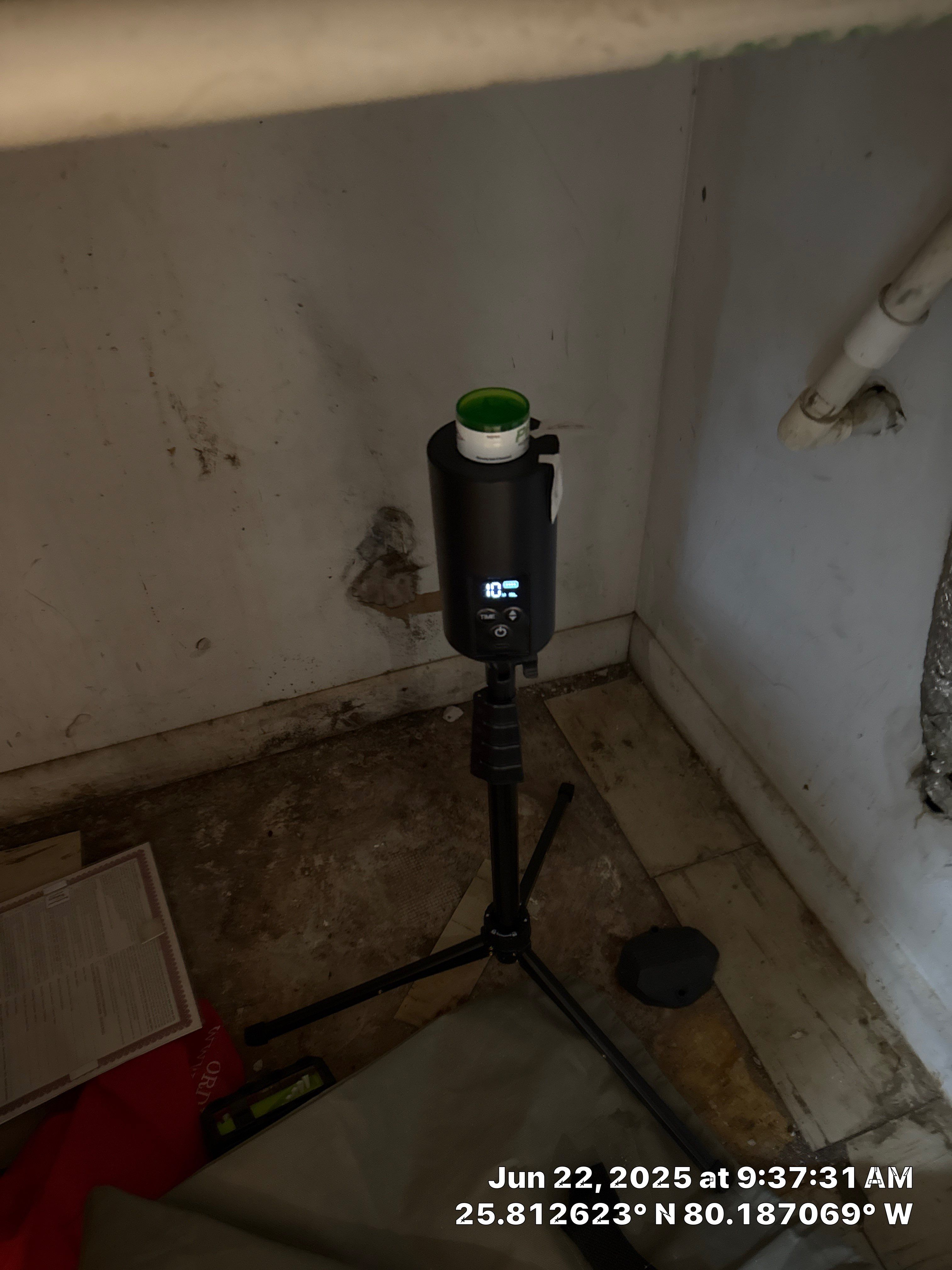 mold by SuperClean 