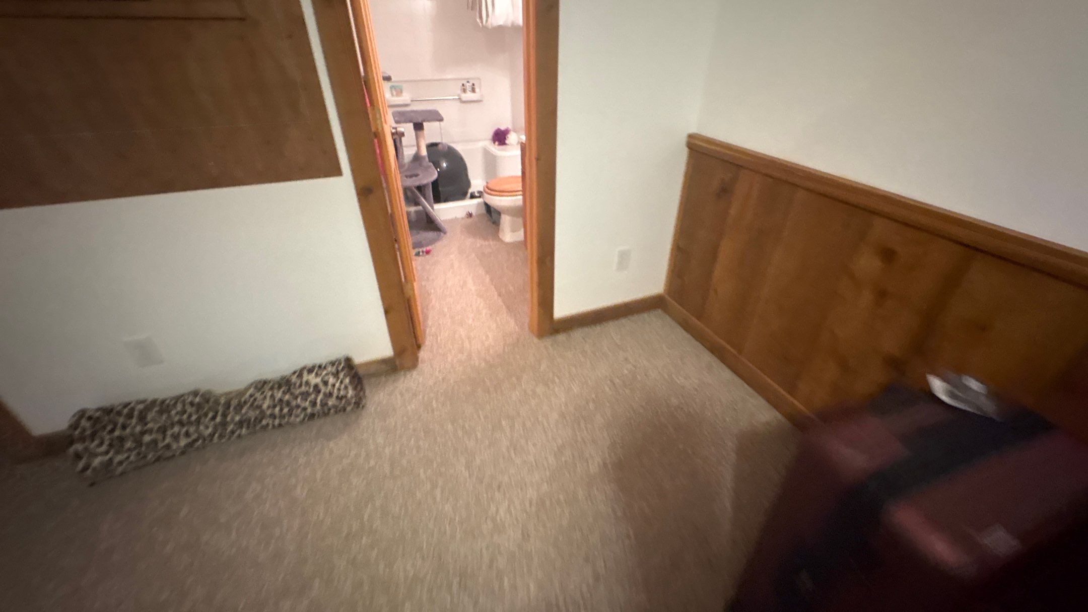 Basement Floor Remodel with Haven Reno KC by Big Red Decorative Concrete, LLC