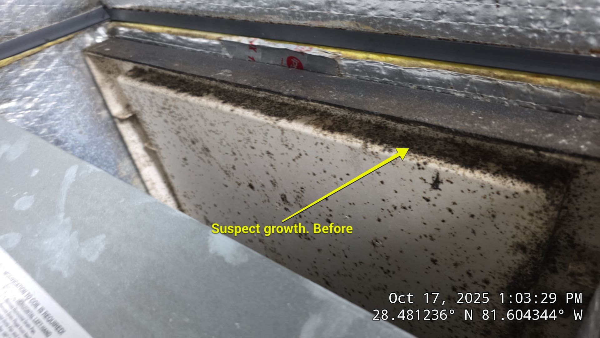 AIr Duct and Dryer Vent Cleaning in WInter Garden by Hygienic Air, Inc